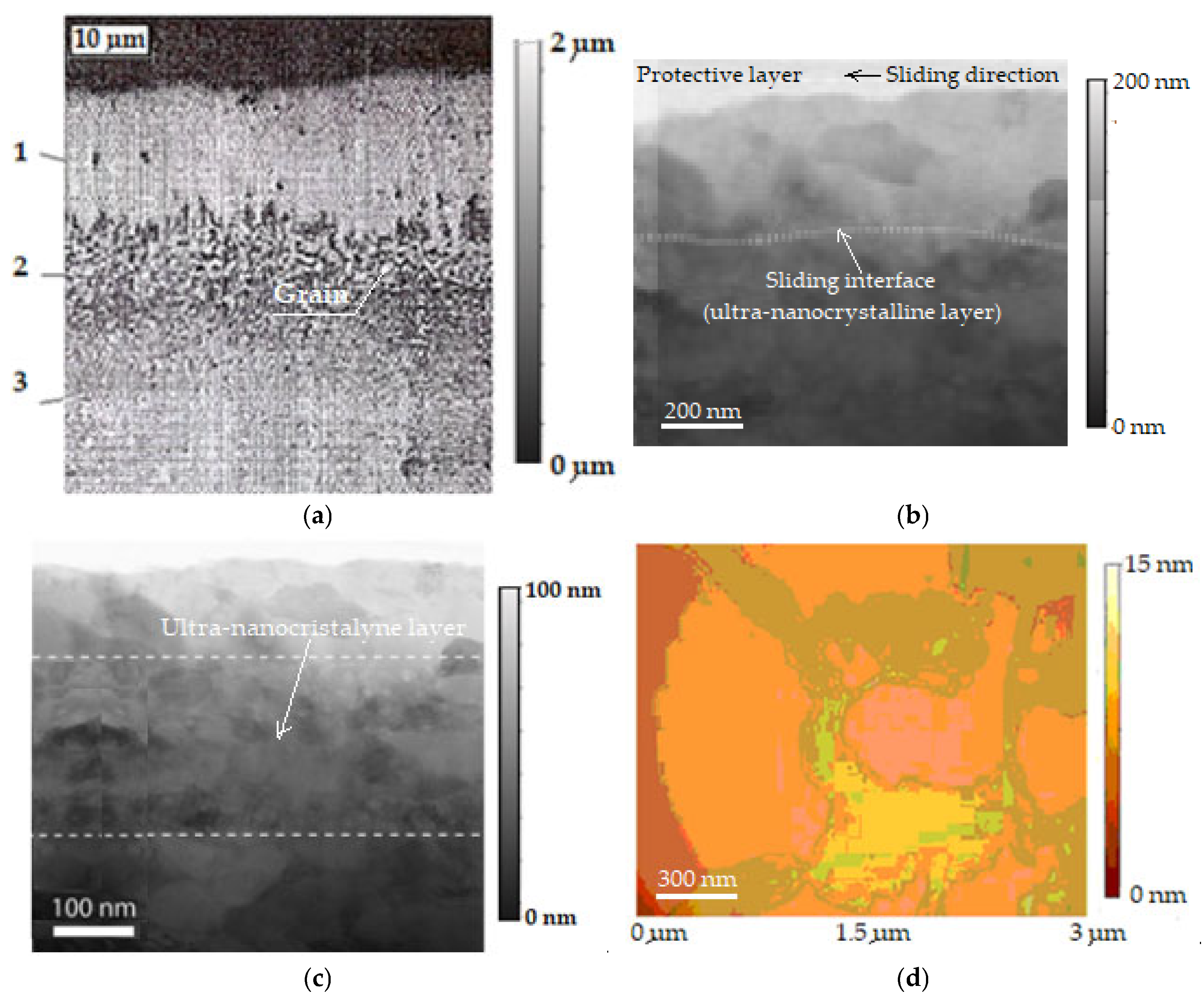 Lubricants 13 00331 g006