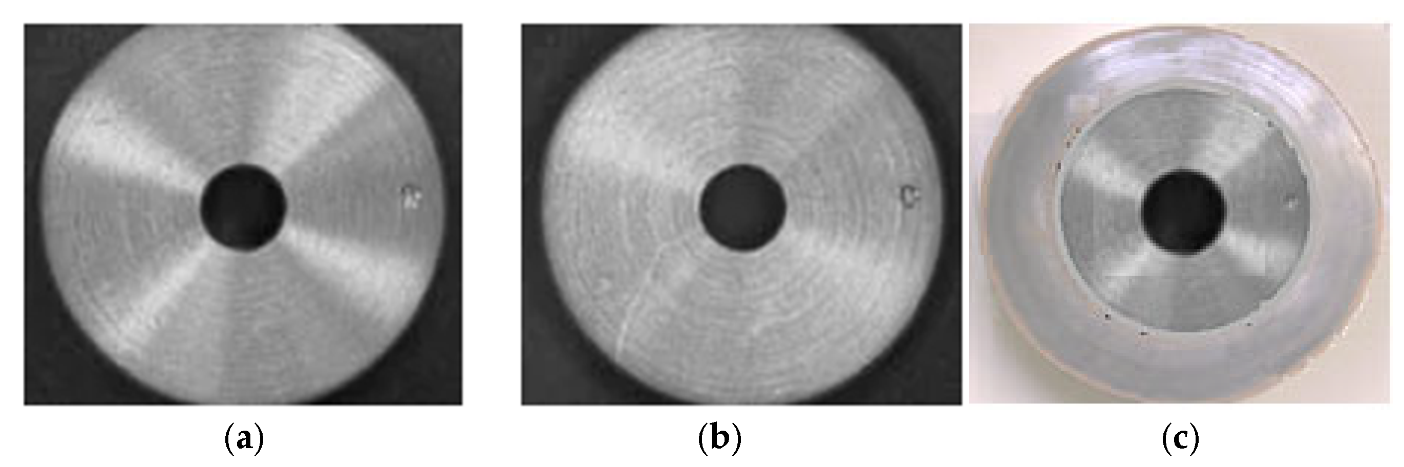 Lubricants 13 00331 g009