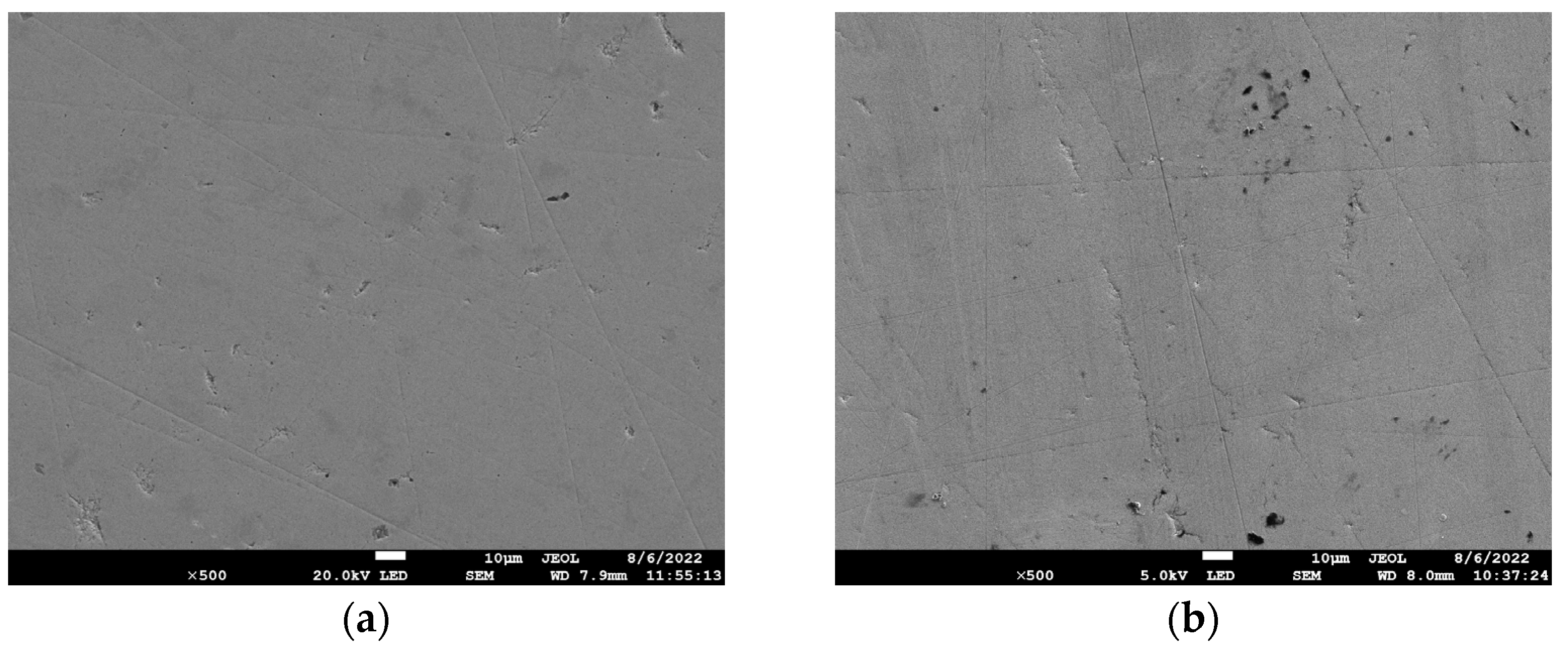 Lubricants 13 00336 g006