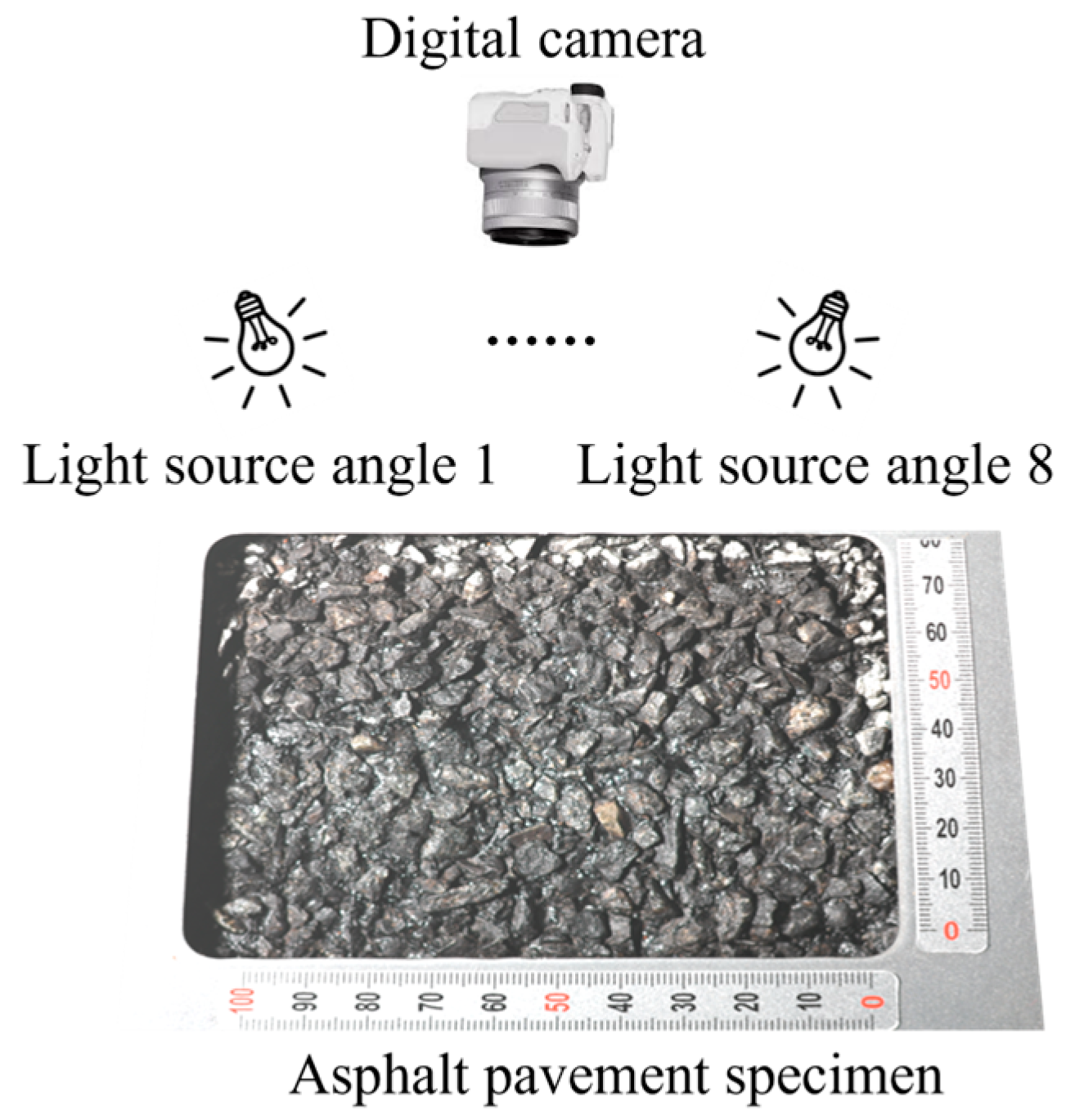 Lubricants 13 00341 g002