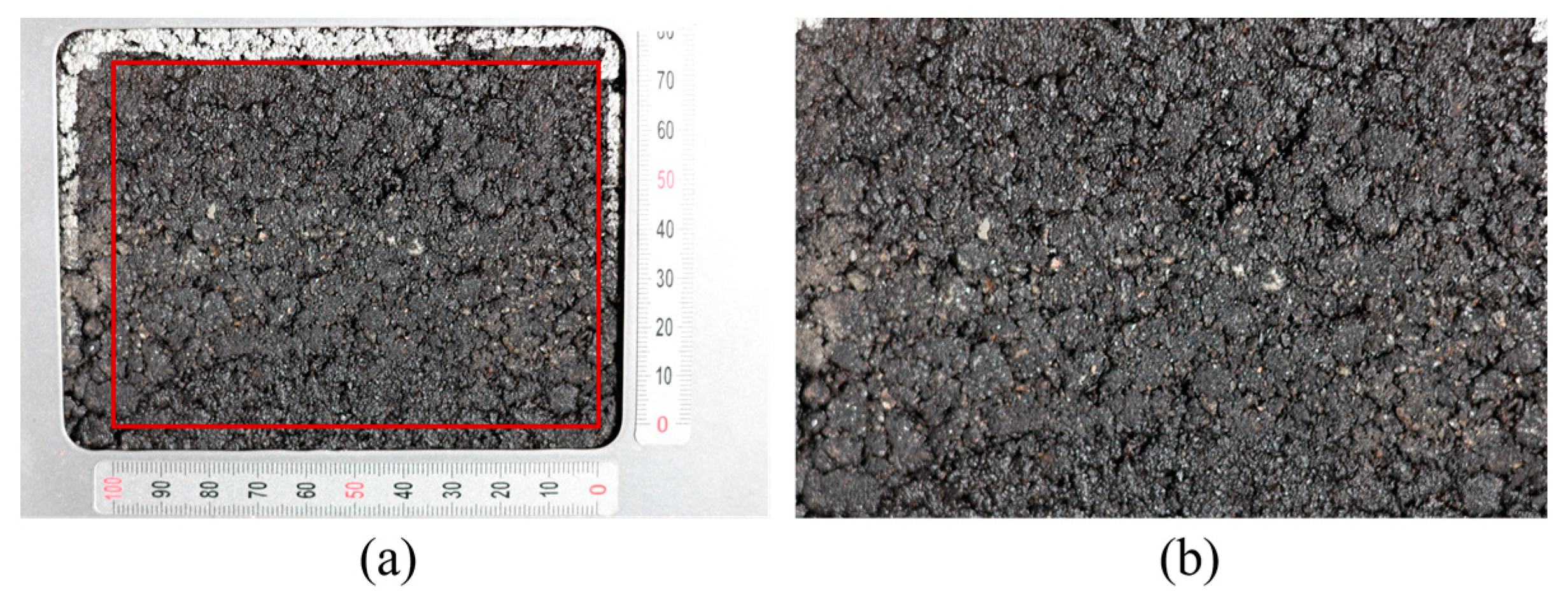 Lubricants 13 00341 g005