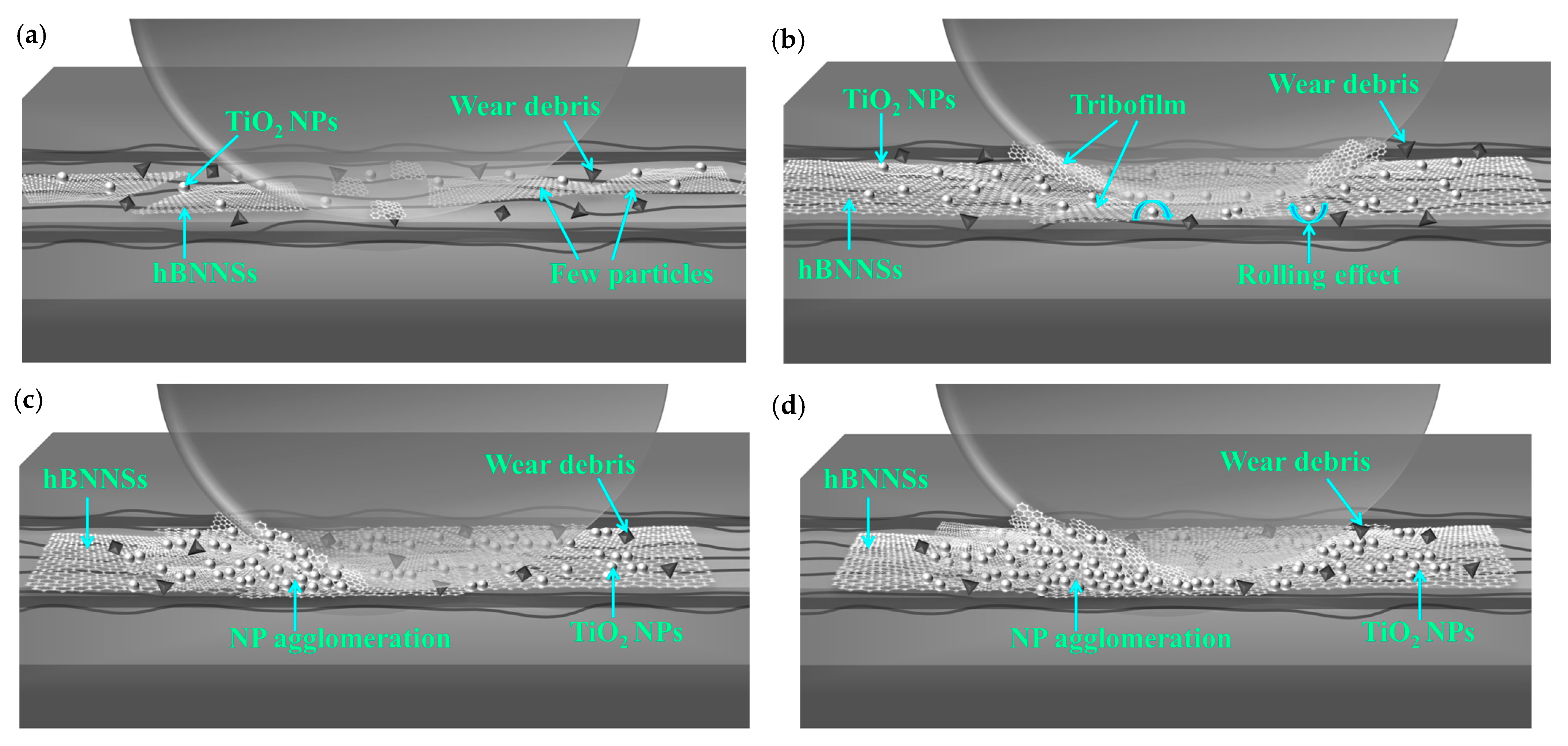 Lubricants 13 00344 g010 Lubricants 13 00344 g010