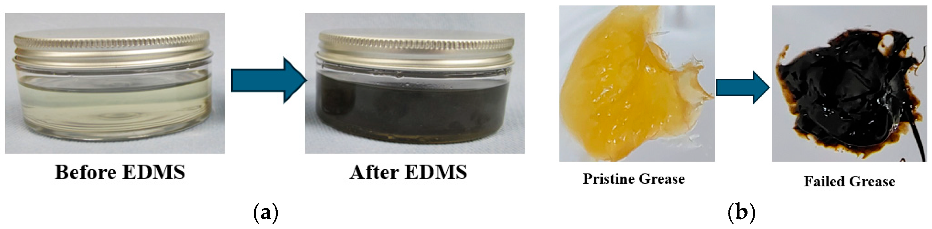 Lubricants 13 00349 g004