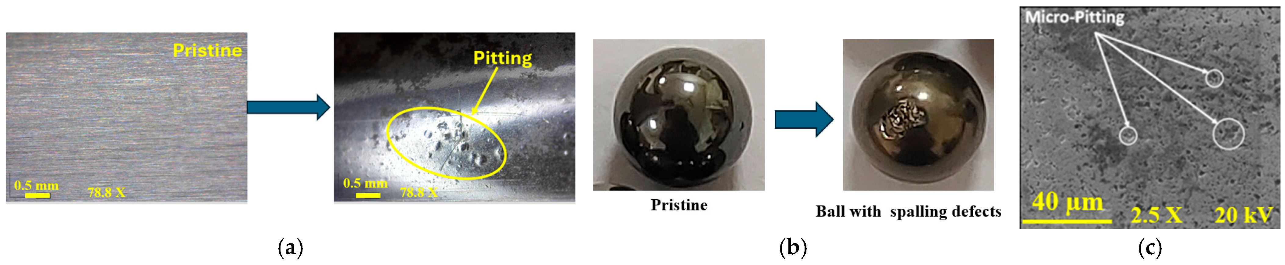 Lubricants 13 00349 g006