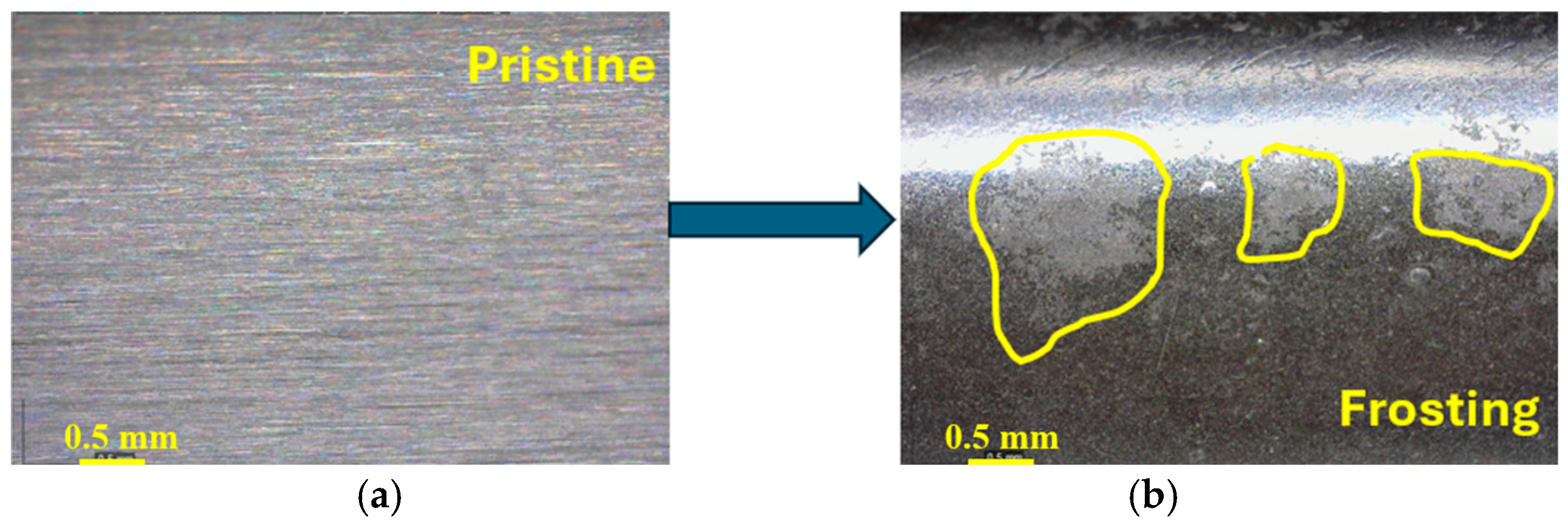 Lubricants 13 00349 g007