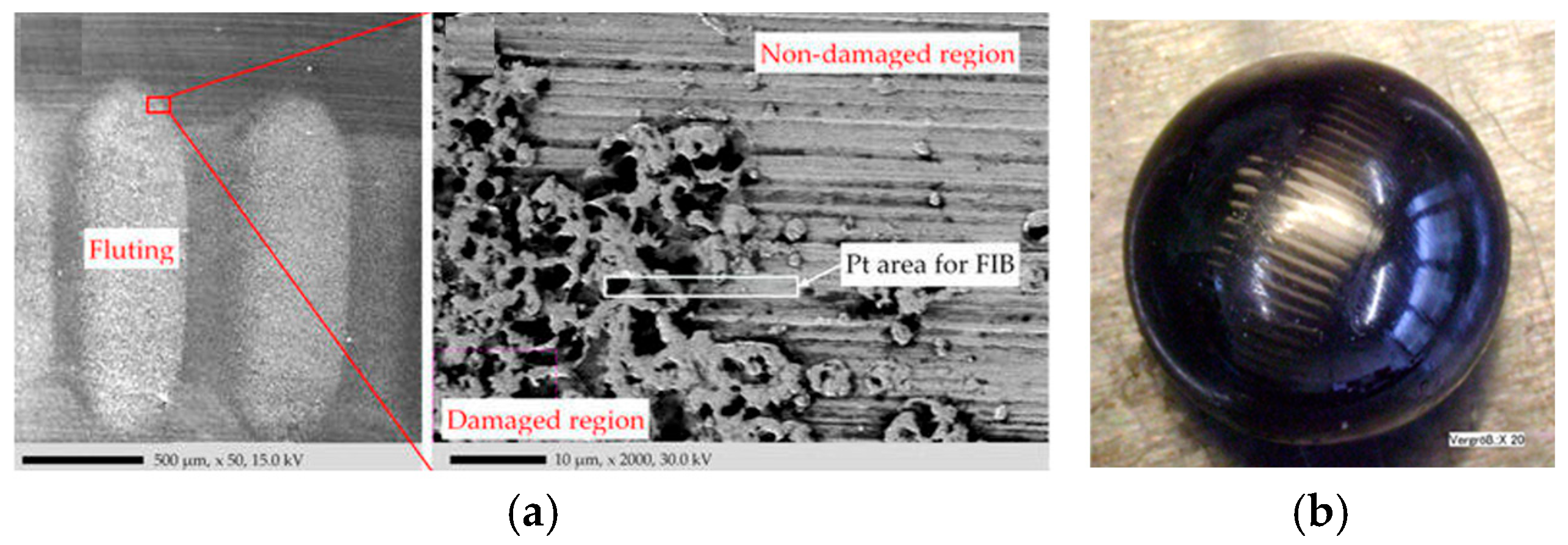 Lubricants 13 00349 g008