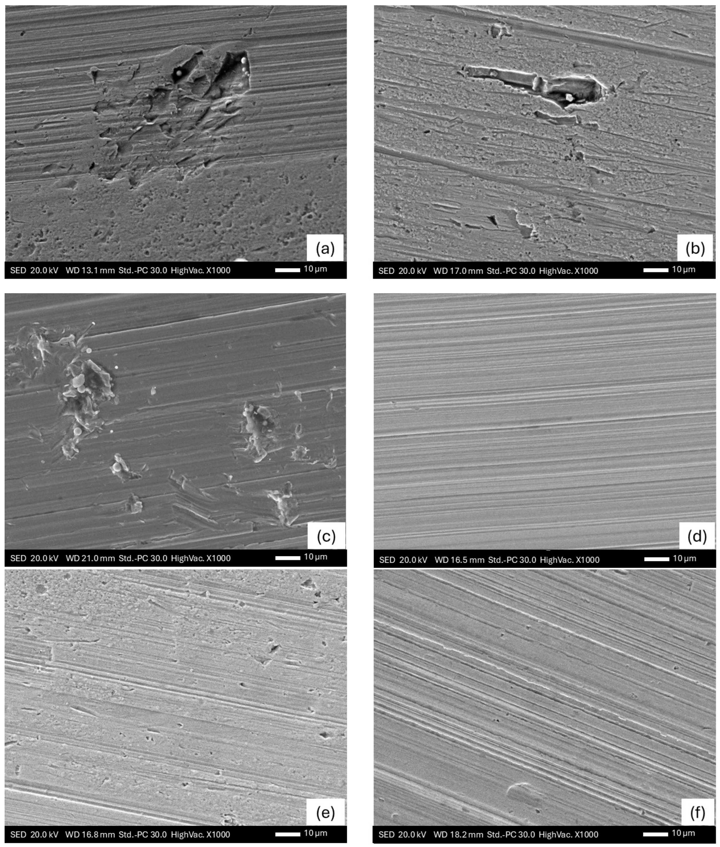 Lubricants 13 00354 g013