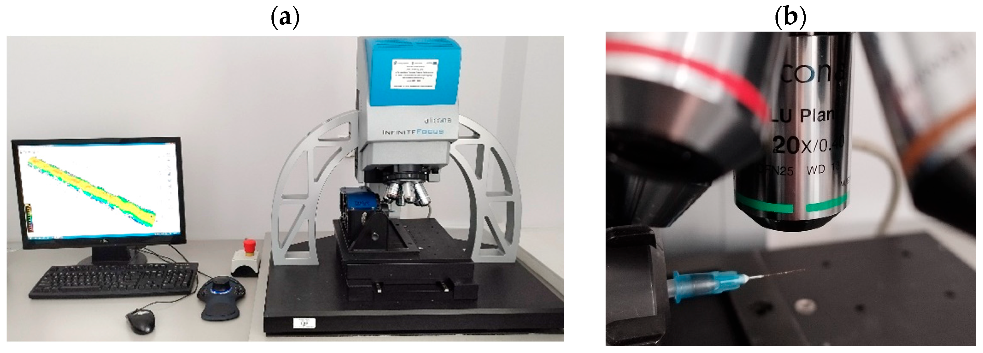 Lubricants 13 00356 g003