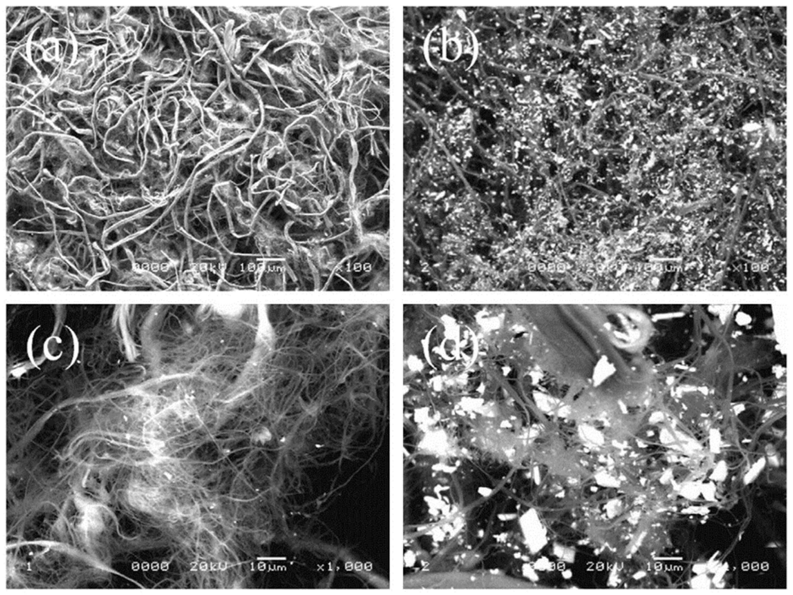 Lubricants 13 00357 g015 Lubricants 13 00357 g015