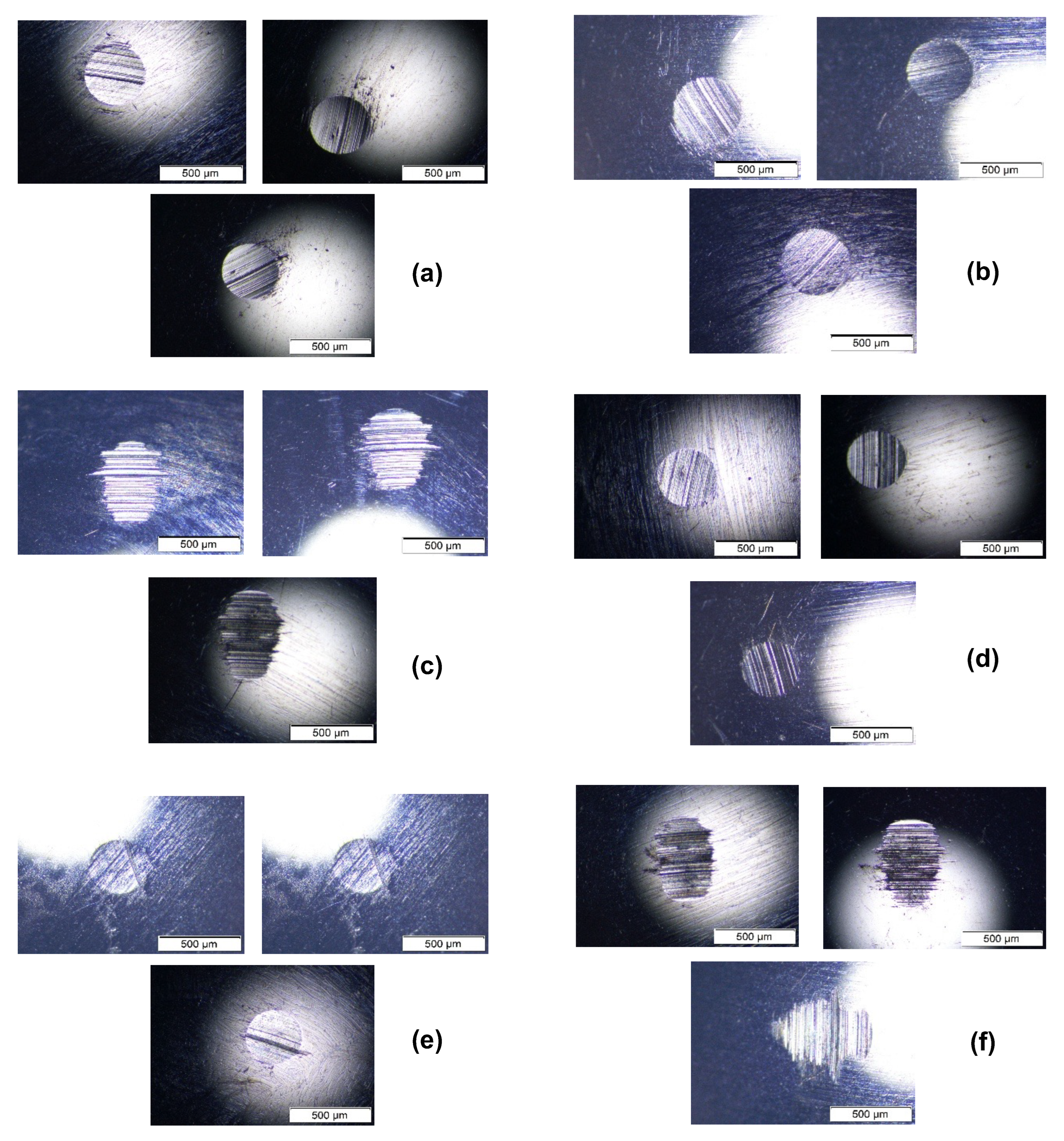 Lubricants 13 00358 g006