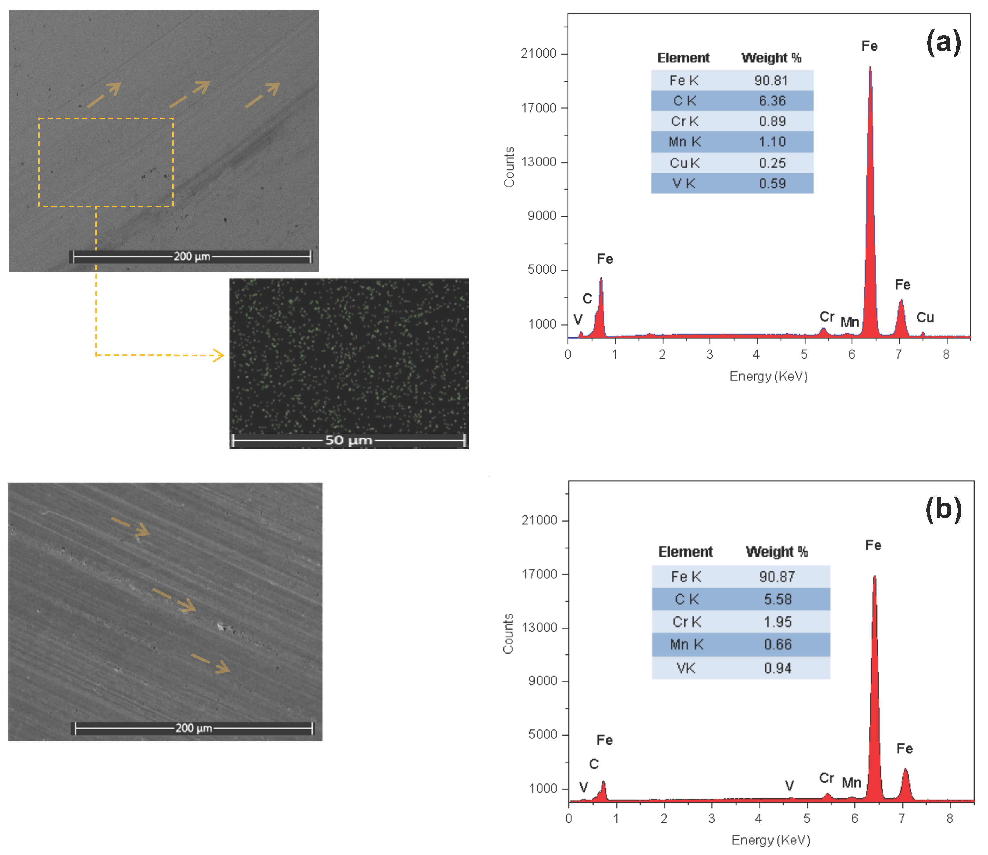 Lubricants 13 00358 g007
