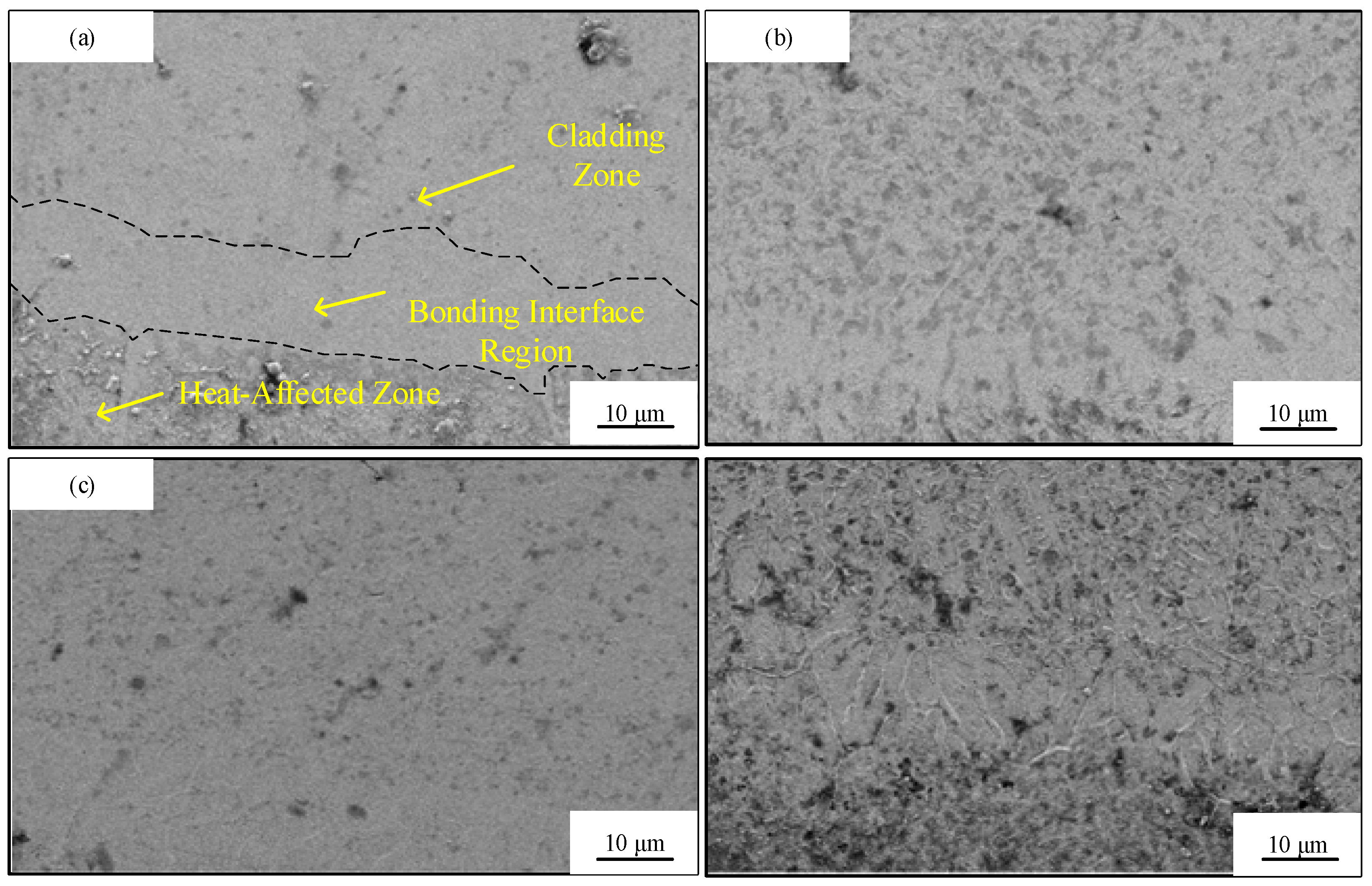 Lubricants 13 00359 g004 Lubricants 13 00359 g004