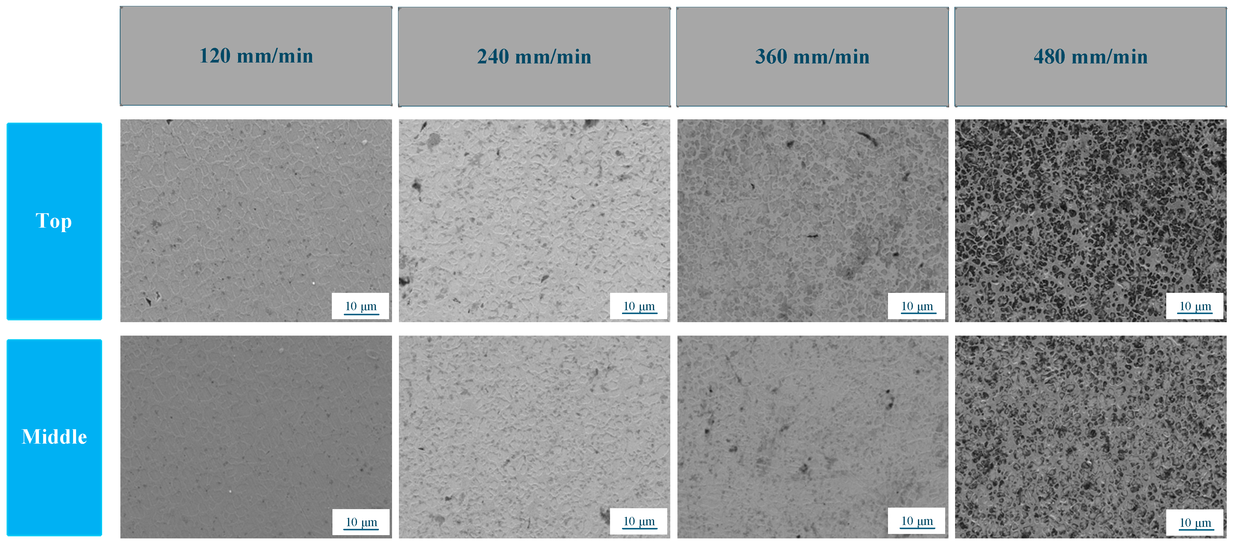 Lubricants 13 00359 g005 Lubricants 13 00359 g005