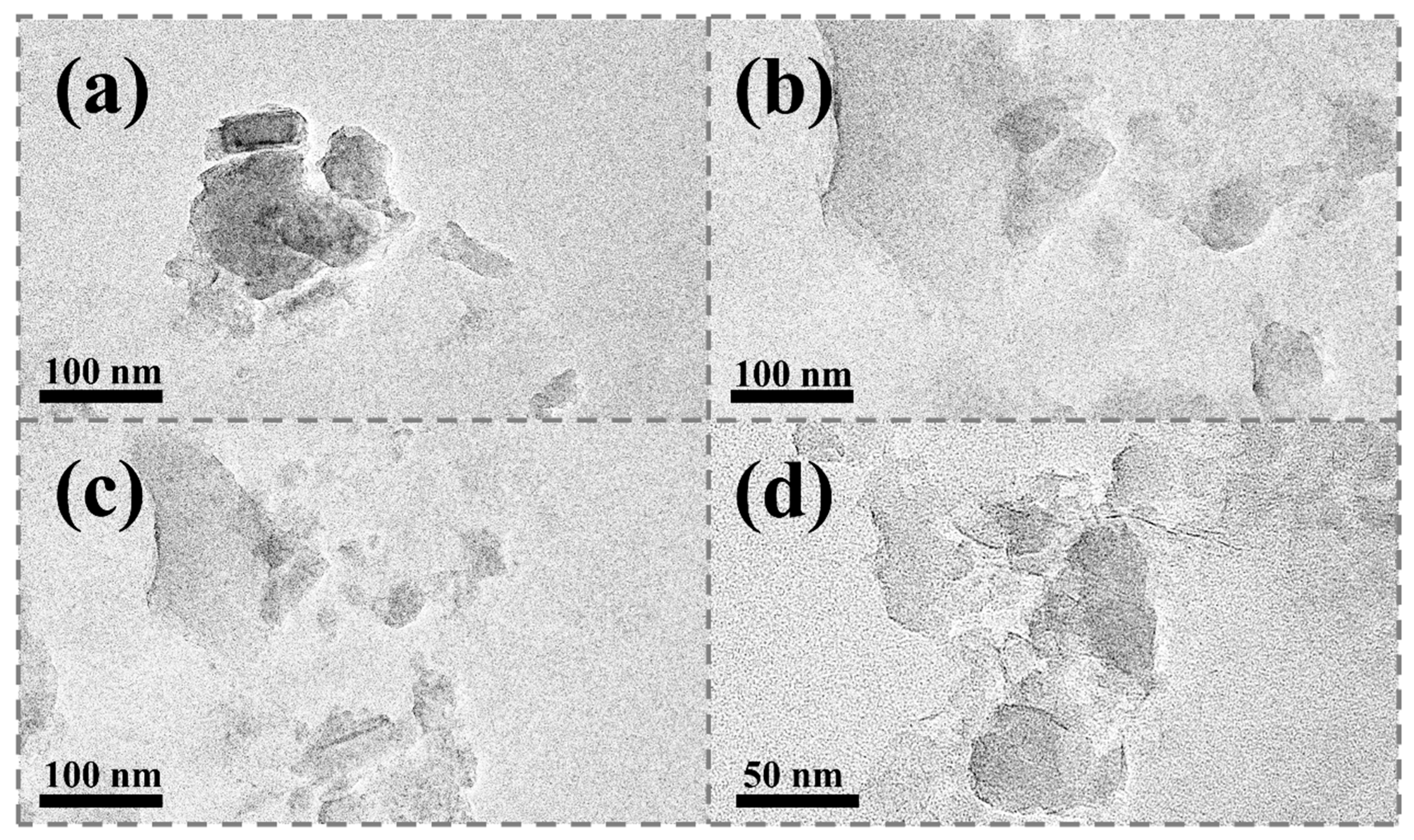 Lubricants 13 00361 g005