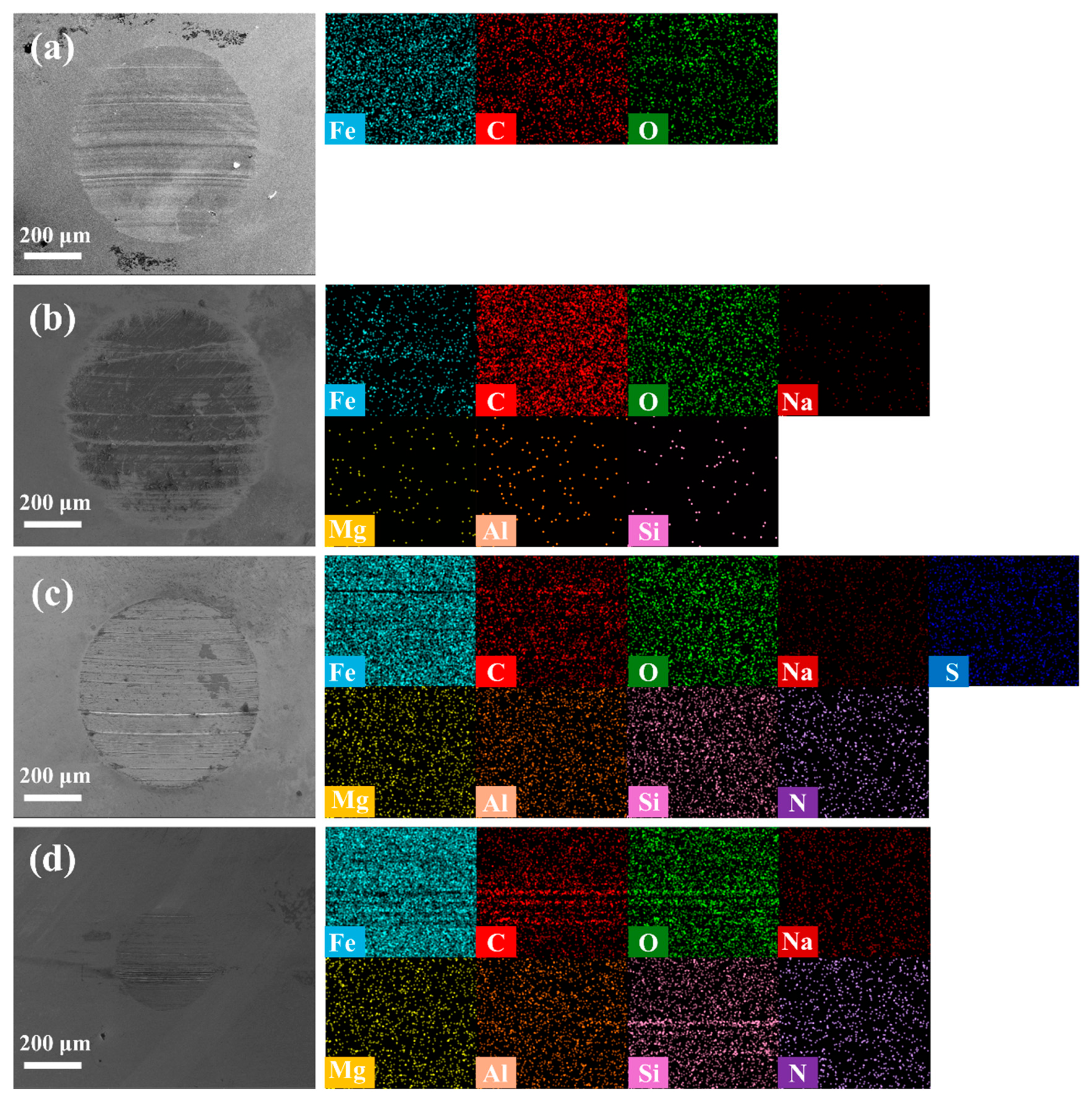 Lubricants 13 00361 g008