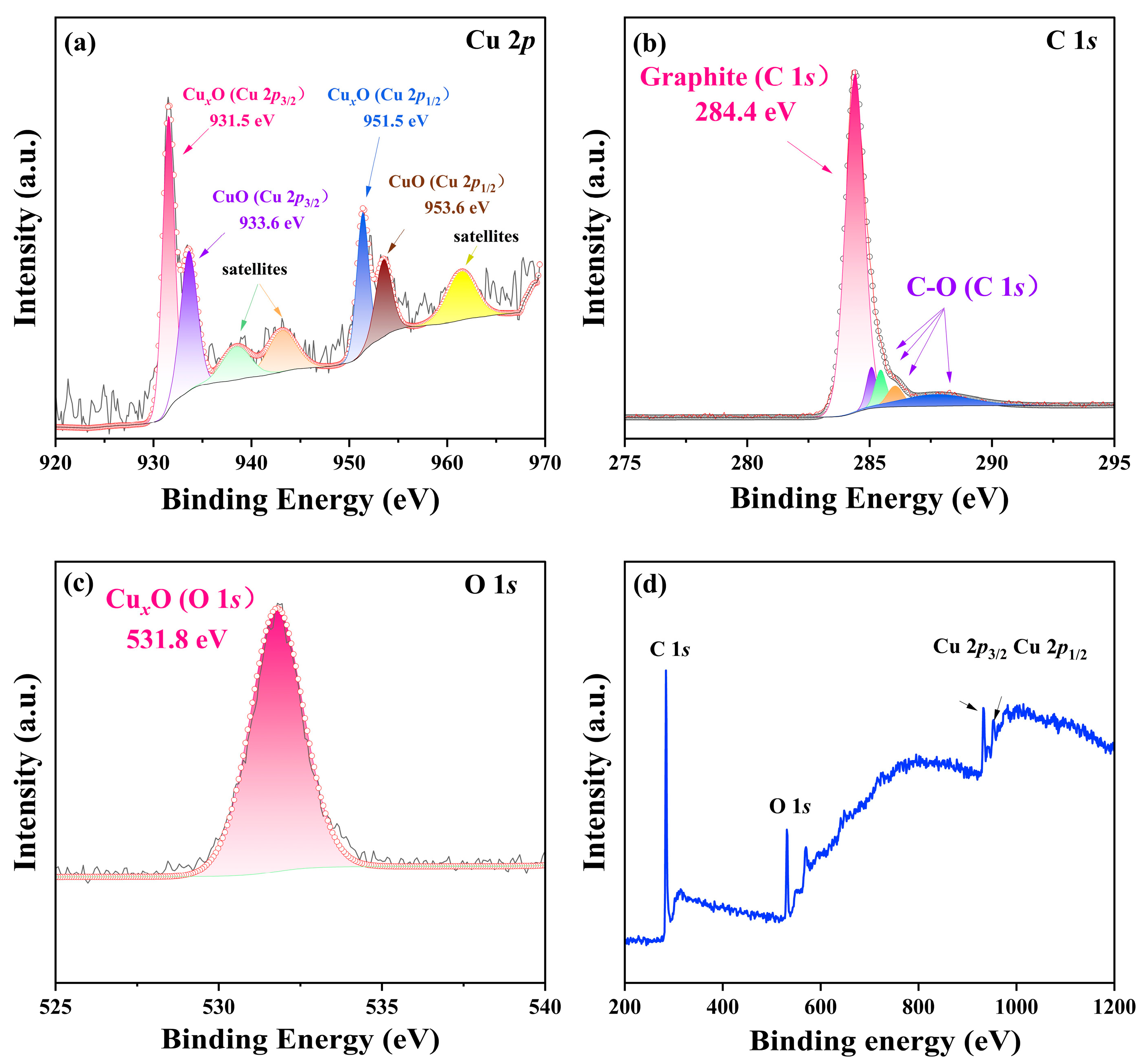 Lubricants 13 00366 g011