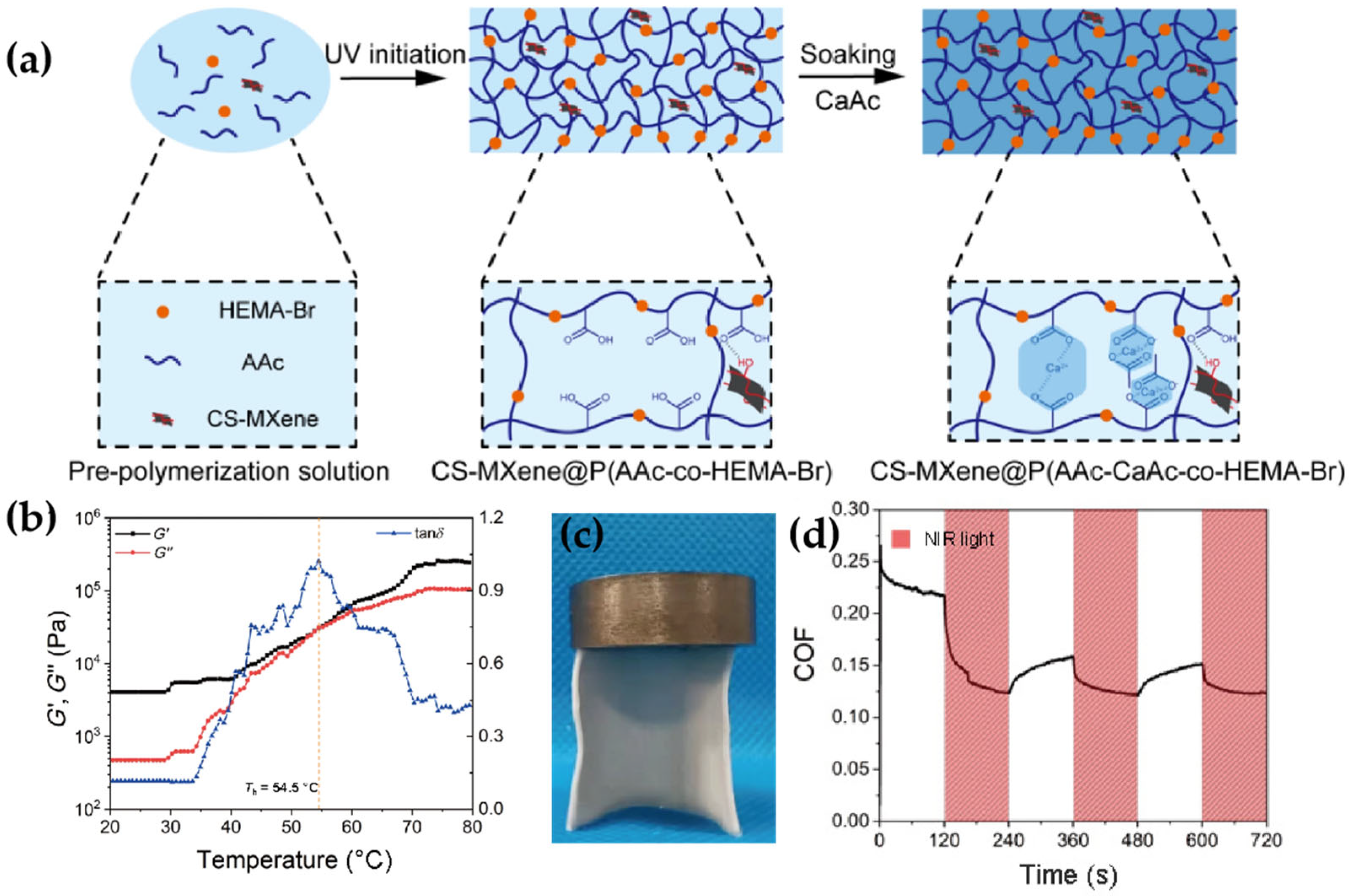 Lubricants 13 00373 g004 Lubricants 13 00373 g004