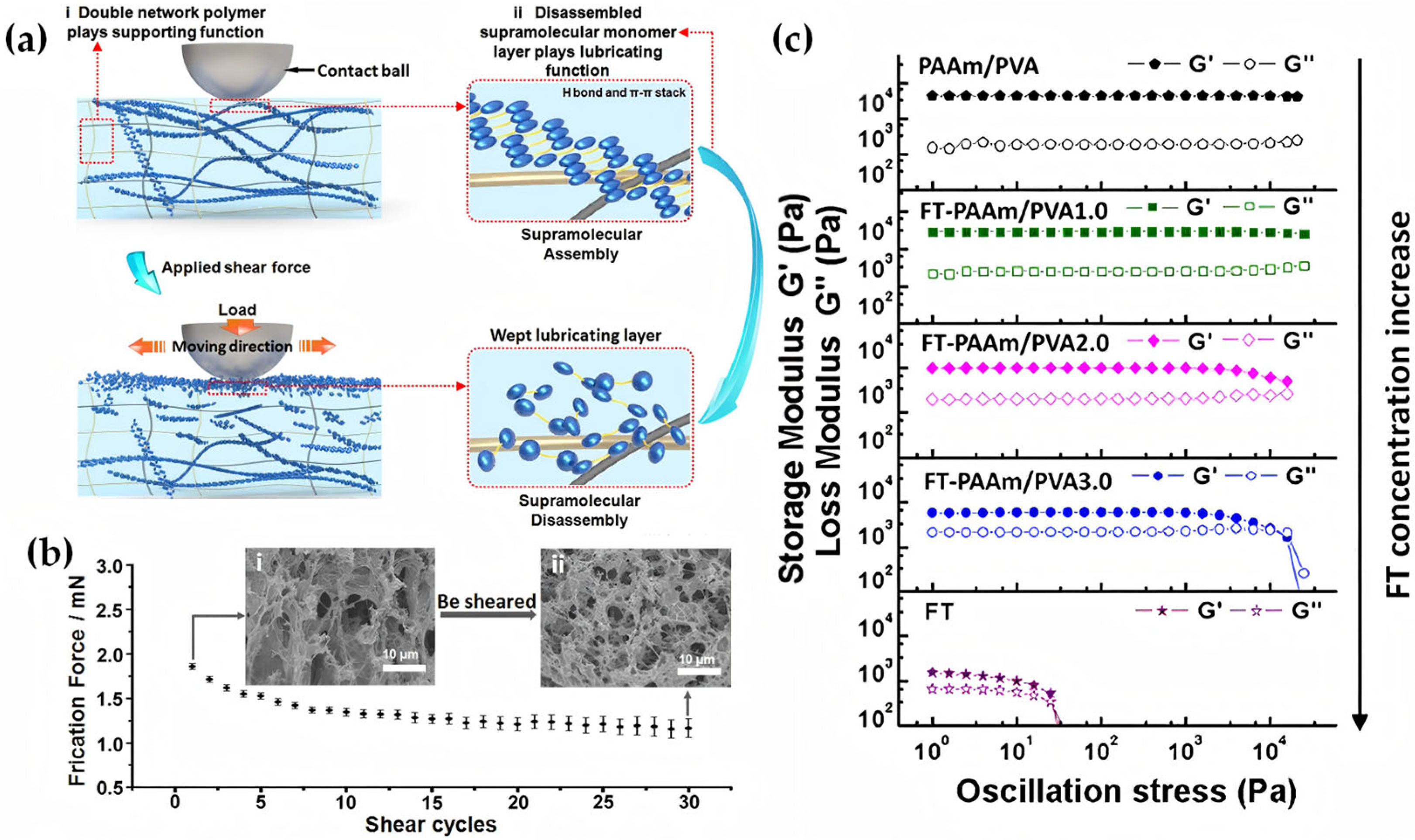 Lubricants 13 00373 g009 Lubricants 13 00373 g009