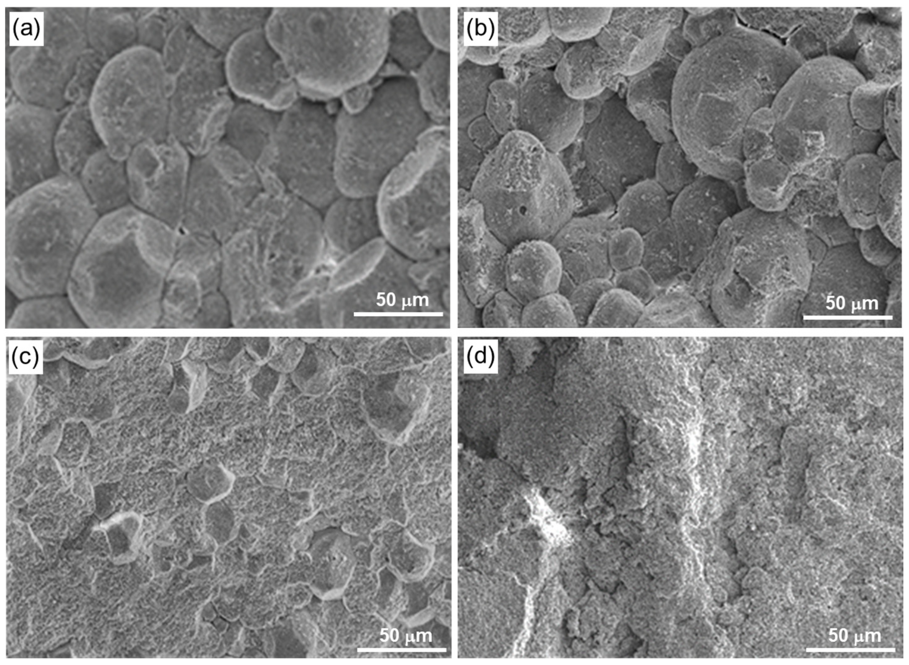 Lubricants 13 00374 g003