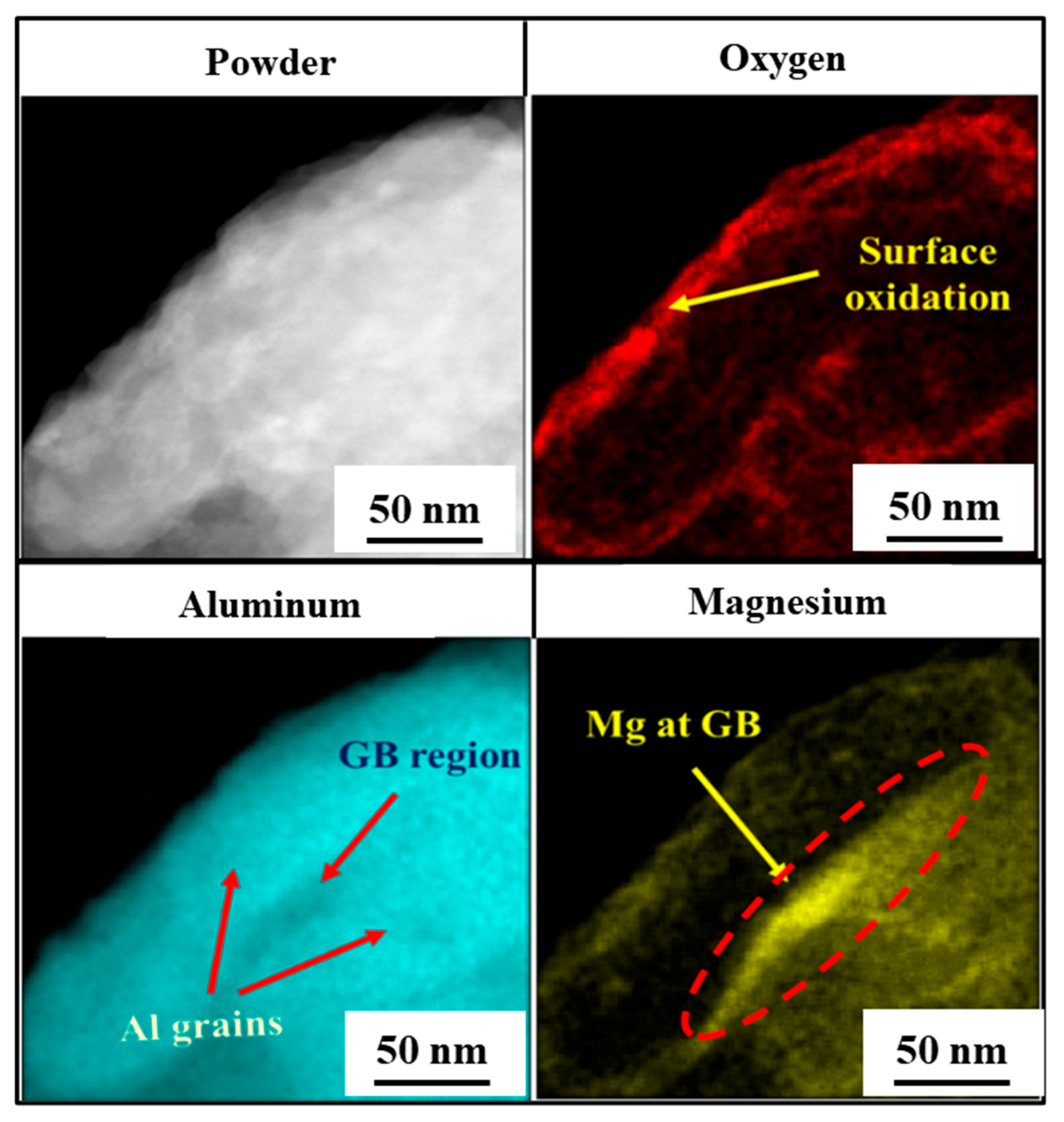 Lubricants 13 00386 g007