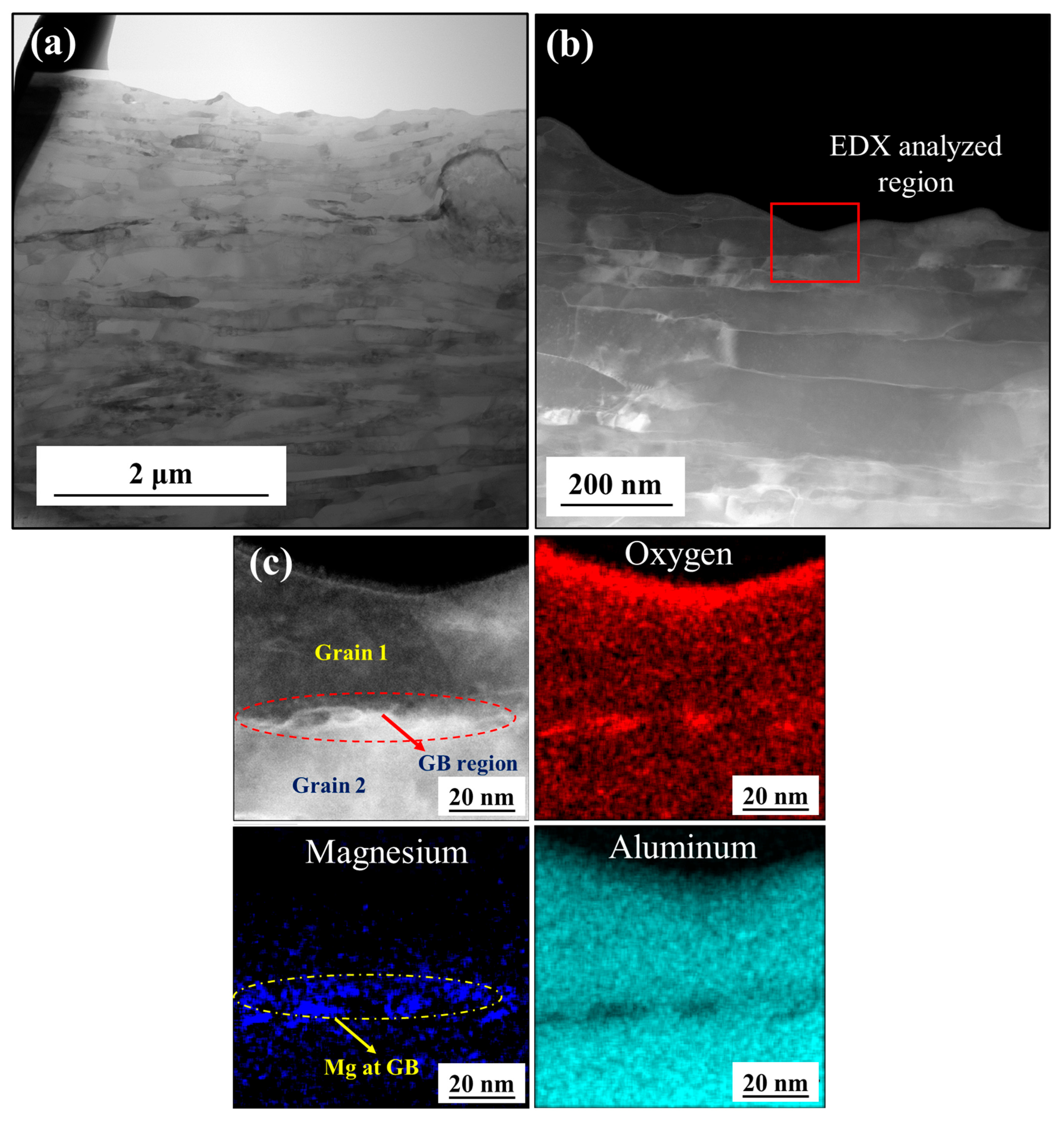 Lubricants 13 00386 g010