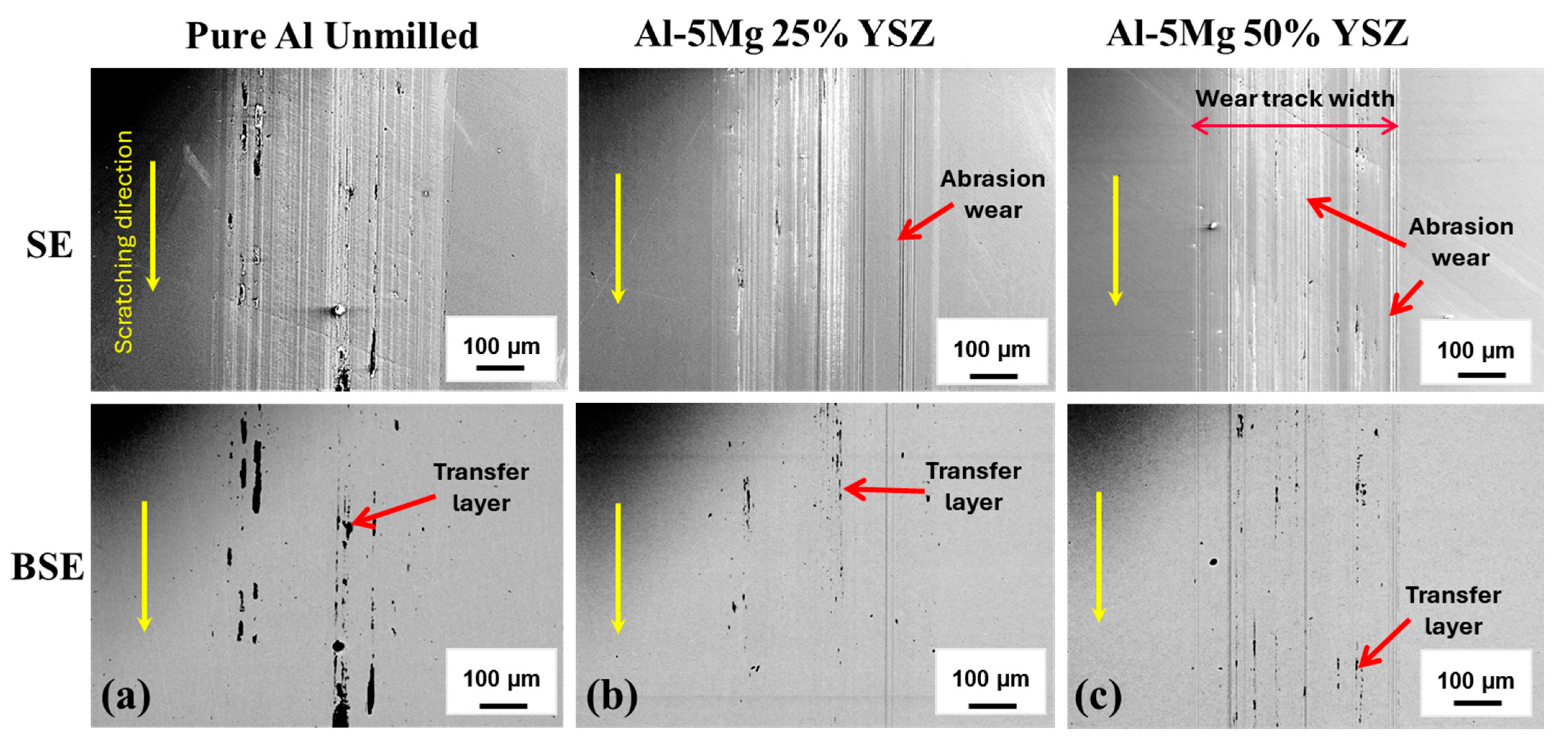 Lubricants 13 00386 g014