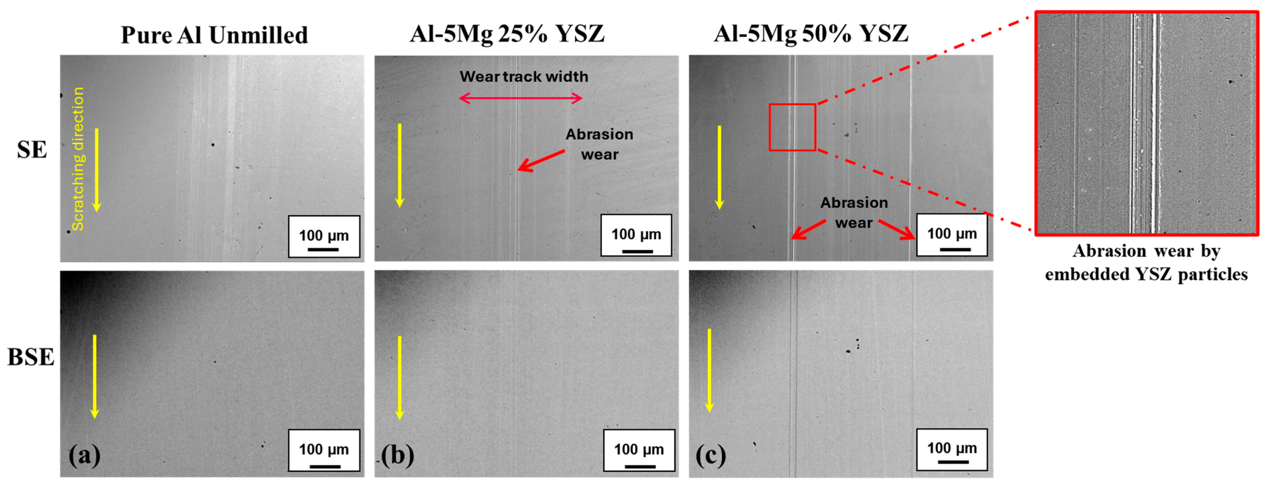 Lubricants 13 00386 g016