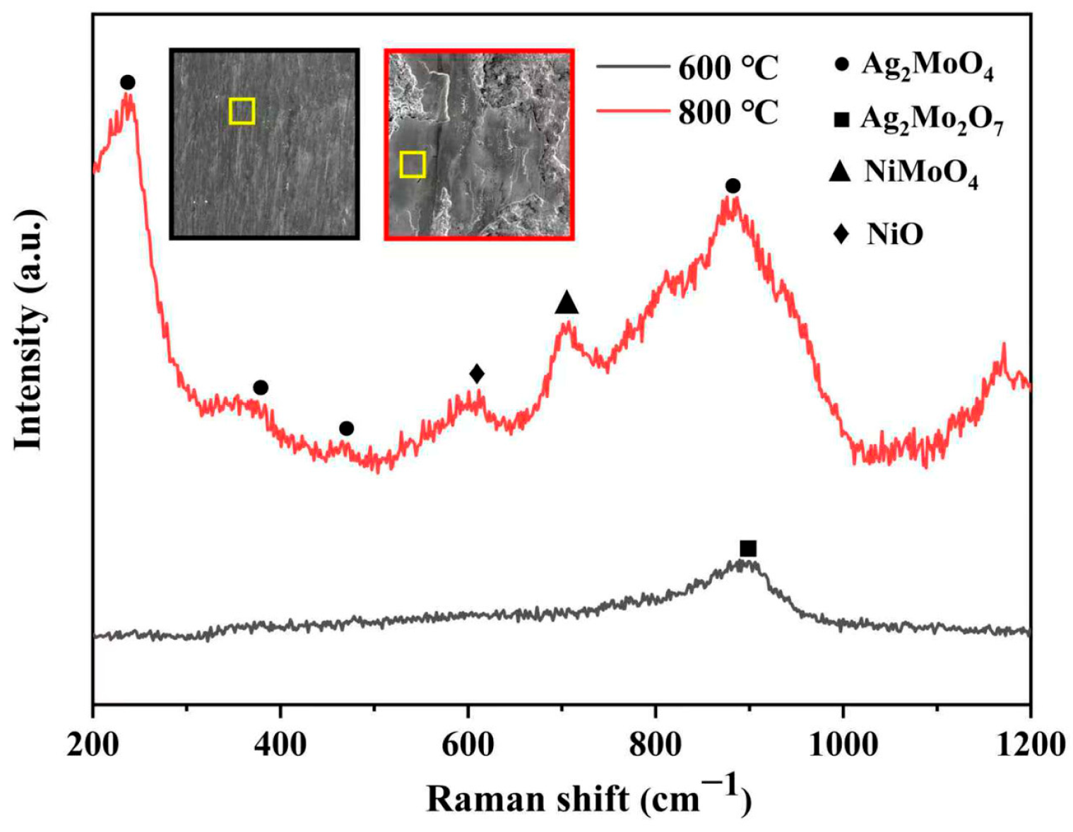 Lubricants 13 00387 g007