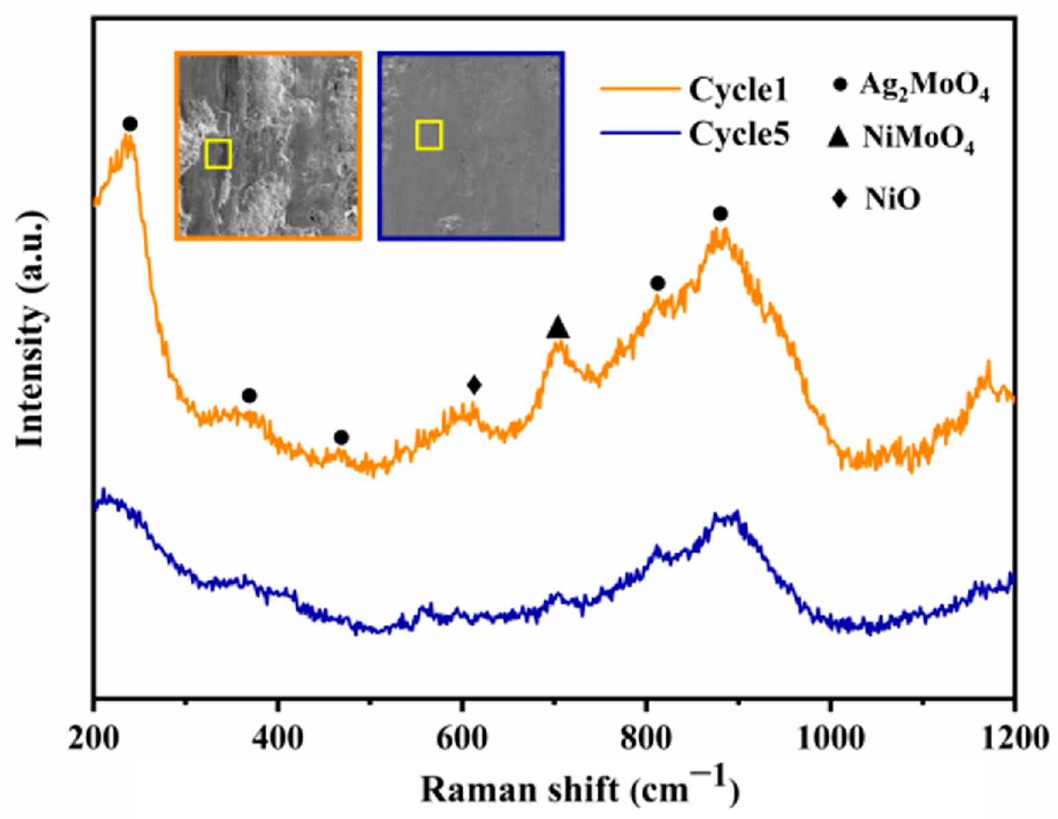 Lubricants 13 00387 g011