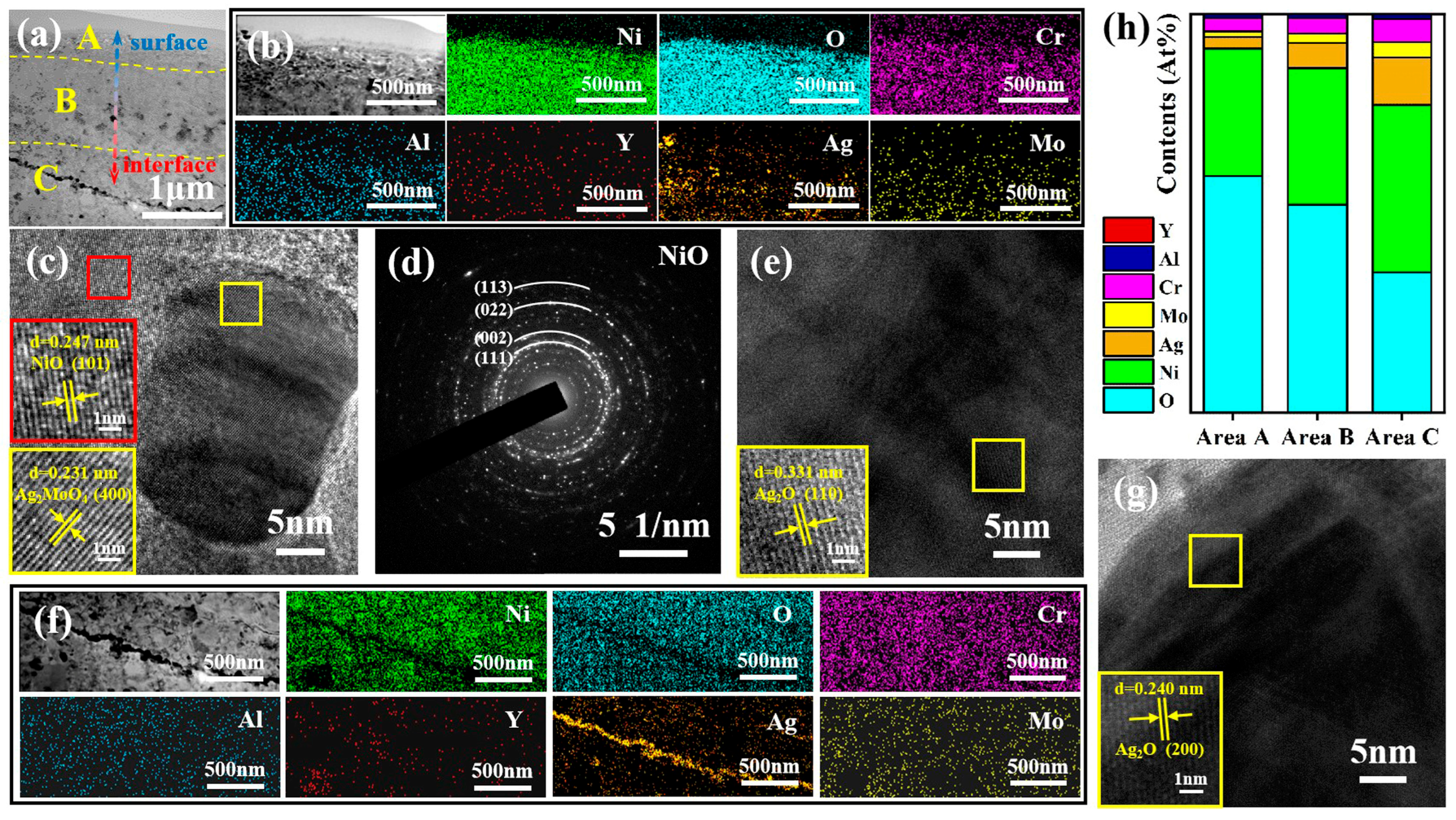 Lubricants 13 00387 g012