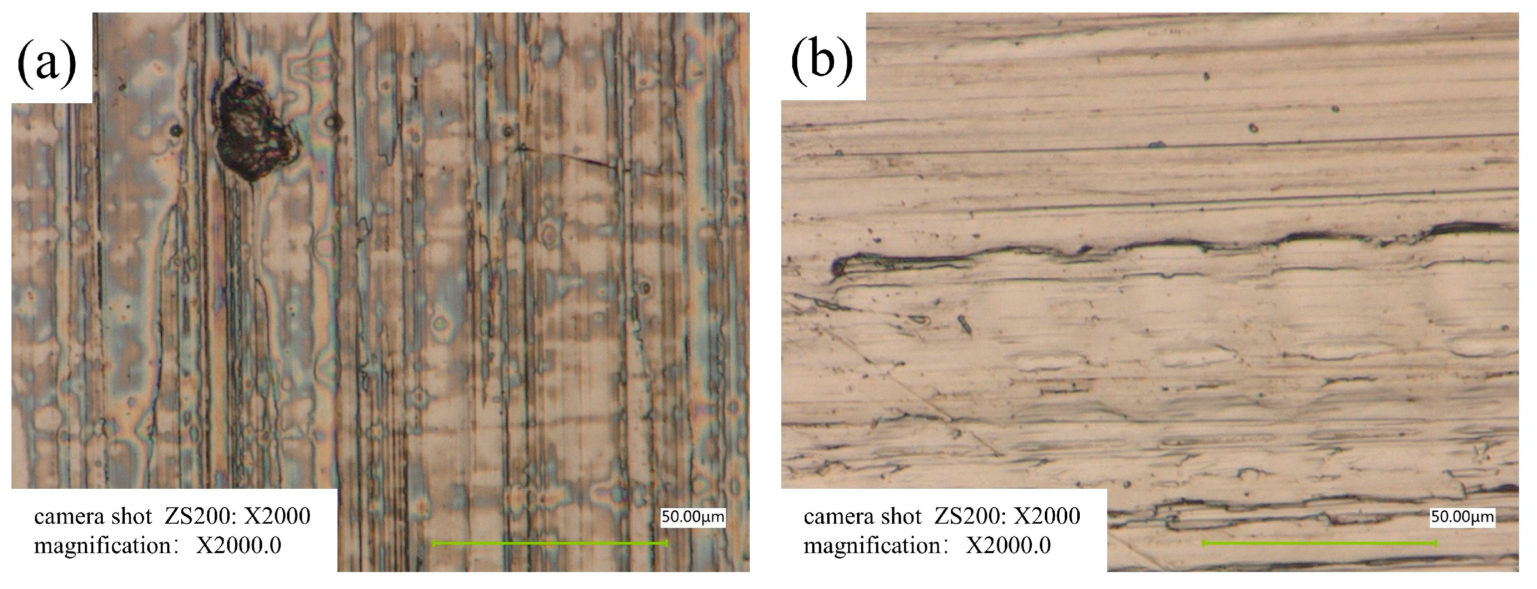 Lubricants 13 00388 g012
