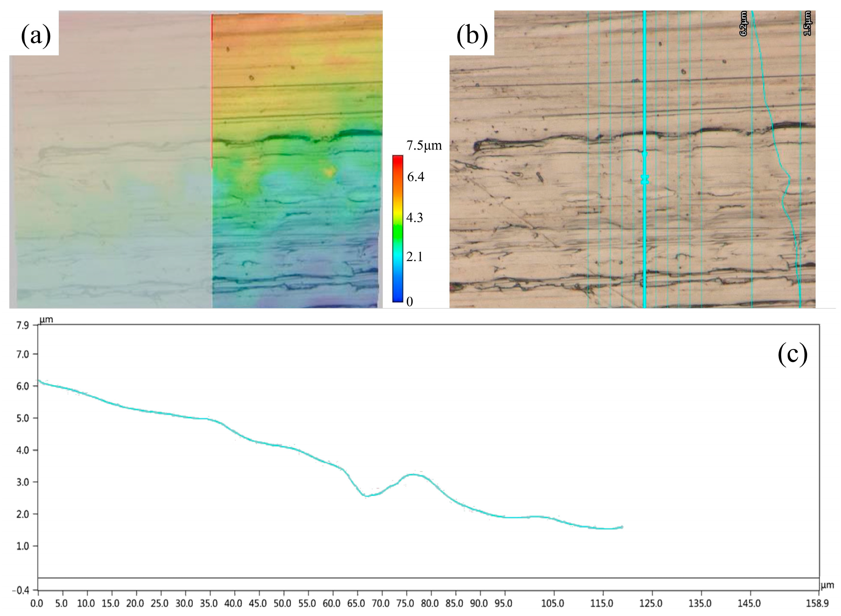 Lubricants 13 00388 g013