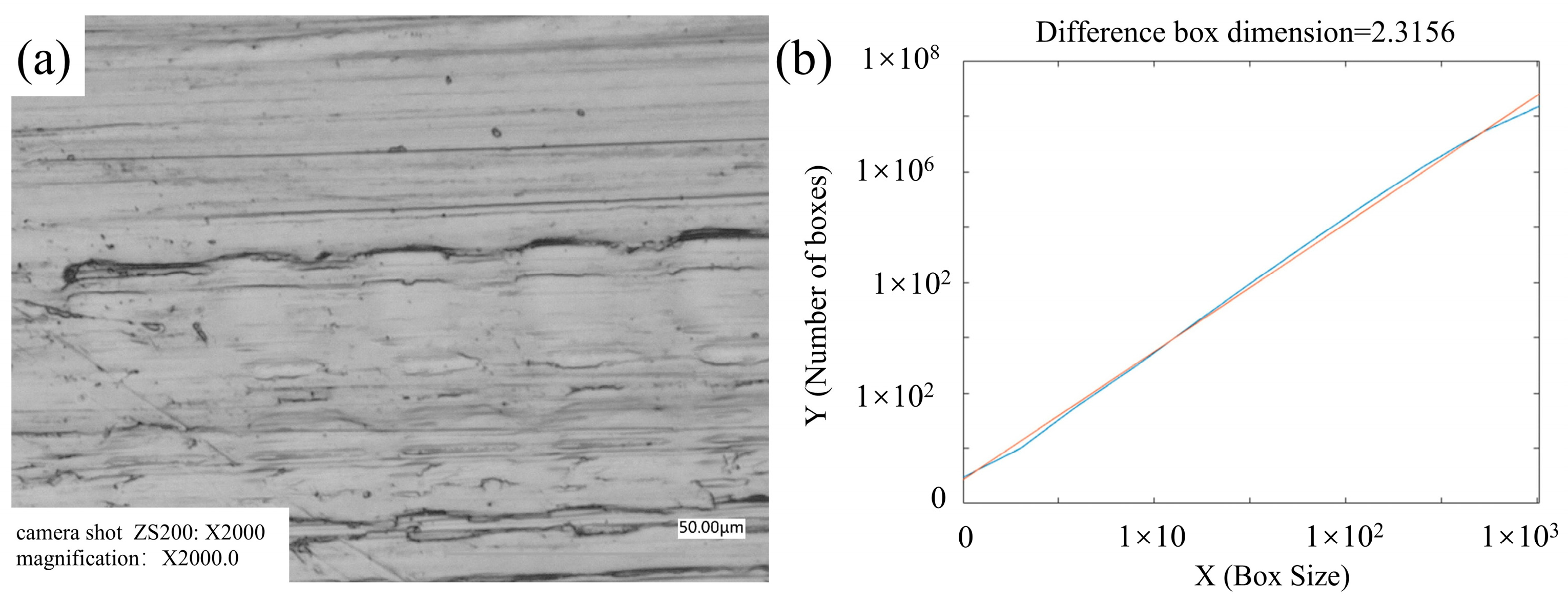 Lubricants 13 00388 g014