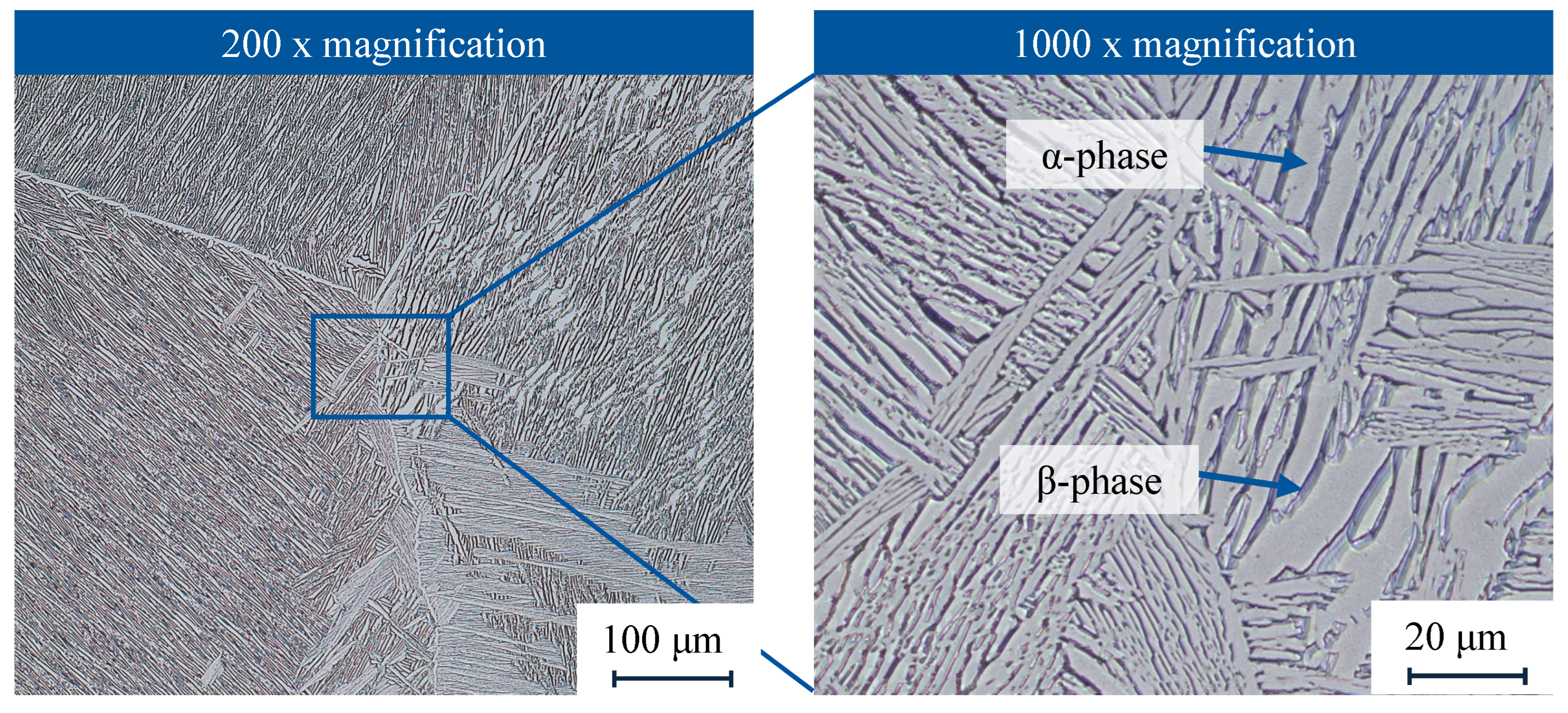 Lubricants 13 00396 g002