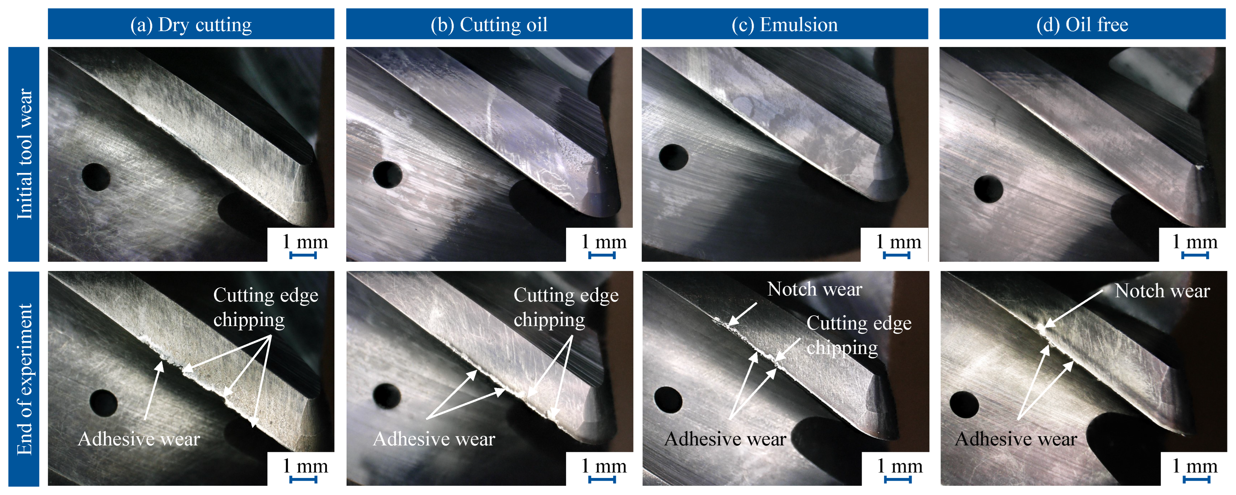 Lubricants 13 00396 g008