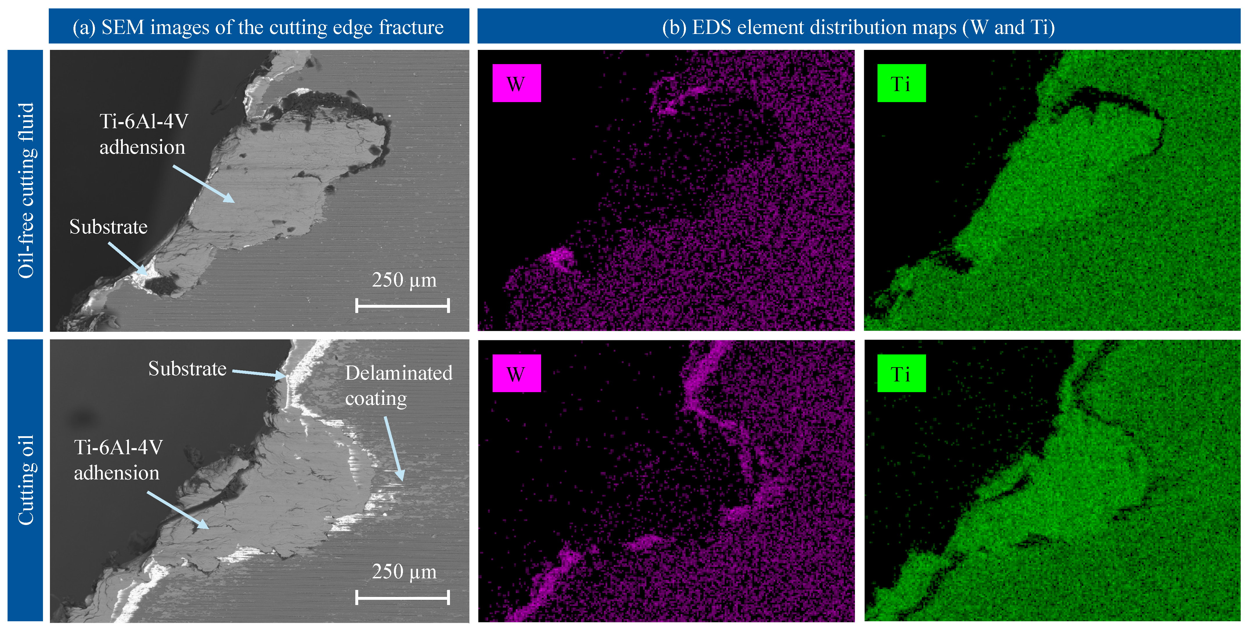 Lubricants 13 00396 g009