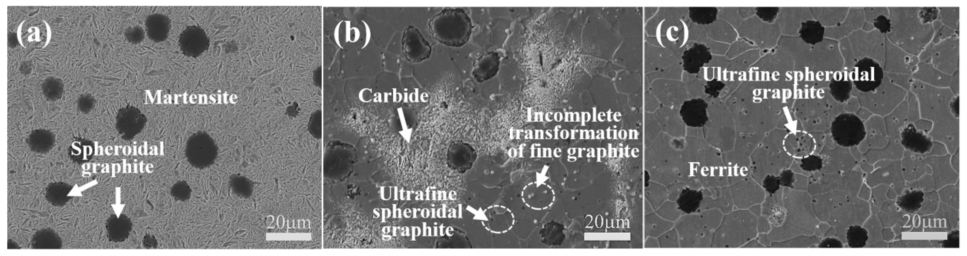 Lubricants 13 00399 g004
