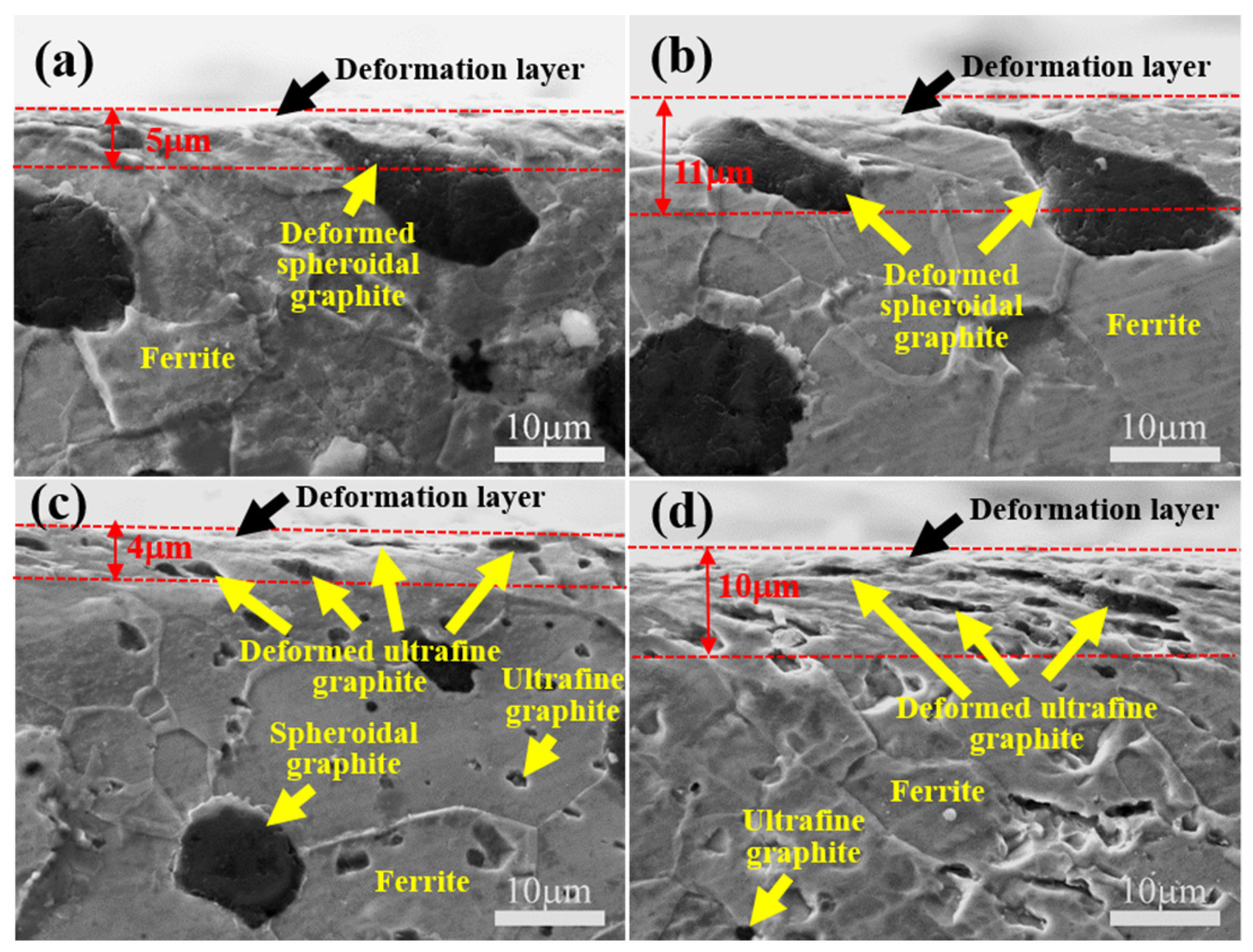 Lubricants 13 00399 g010
