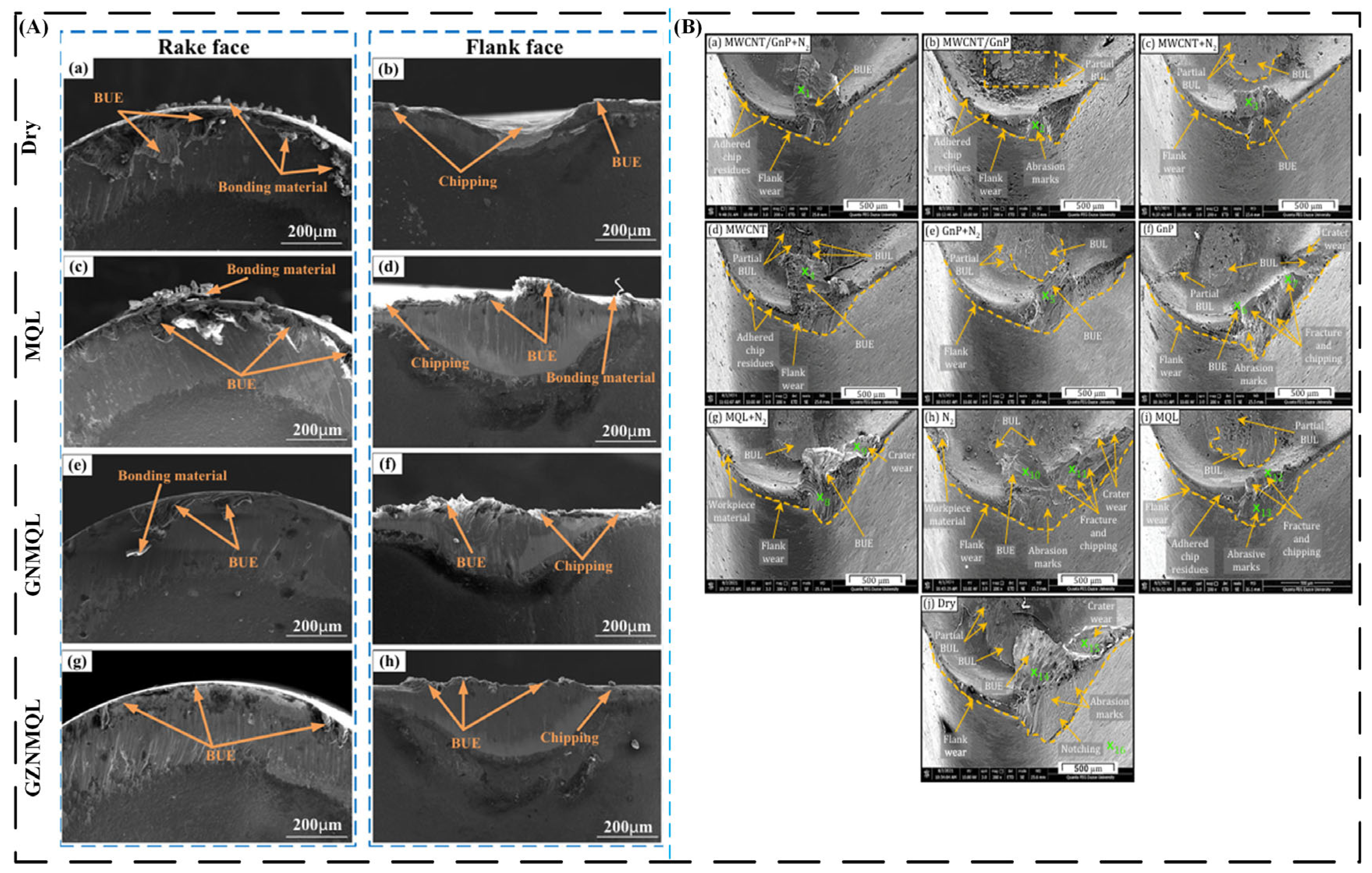Lubricants 13 00401 g013
