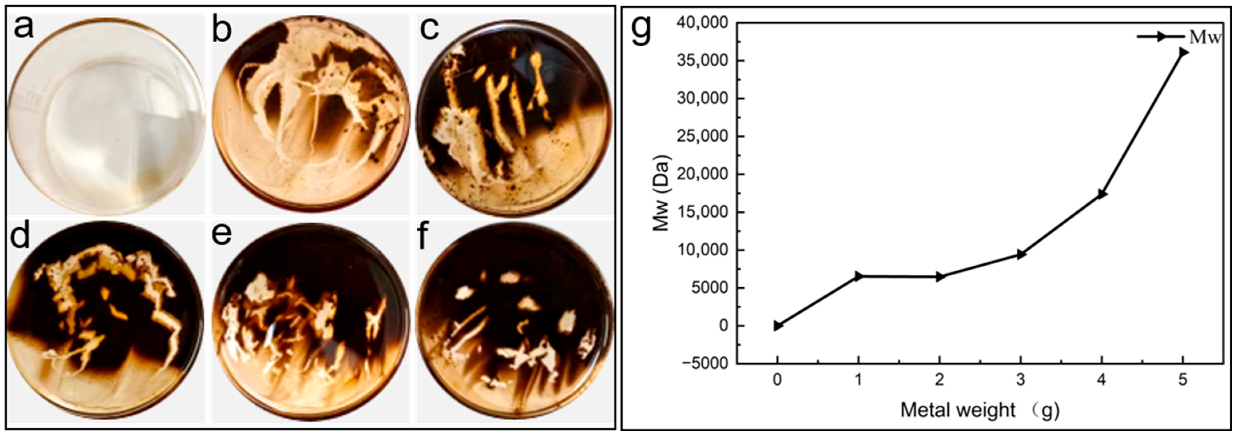 Lubricants 13 00403 g008 Lubricants 13 00403 g008