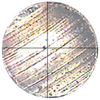 Lubricants 13 00404 i001