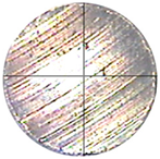 Lubricants 13 00404 i002