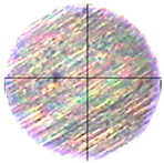 Lubricants 13 00404 i007