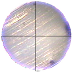 Lubricants 13 00404 i008