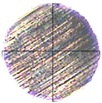 Lubricants 13 00404 i009