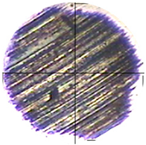 Lubricants 13 00404 i010