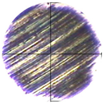 Lubricants 13 00404 i011