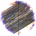 Lubricants 13 00404 i017