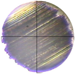 Lubricants 13 00404 i021