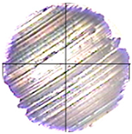 Lubricants 13 00404 i023